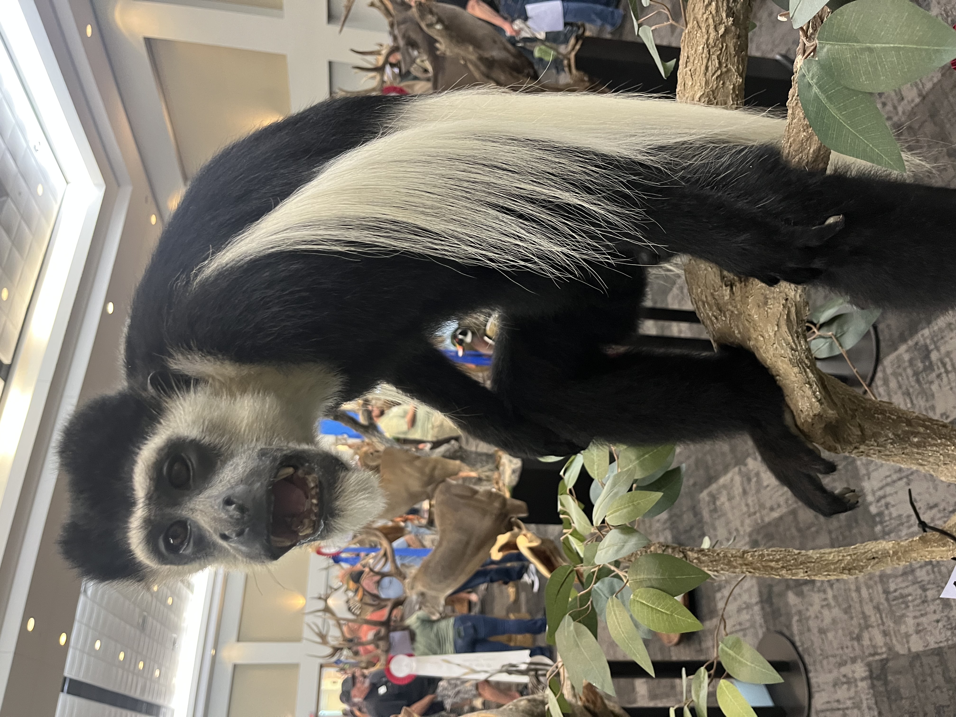 IMG_4159.jpeg