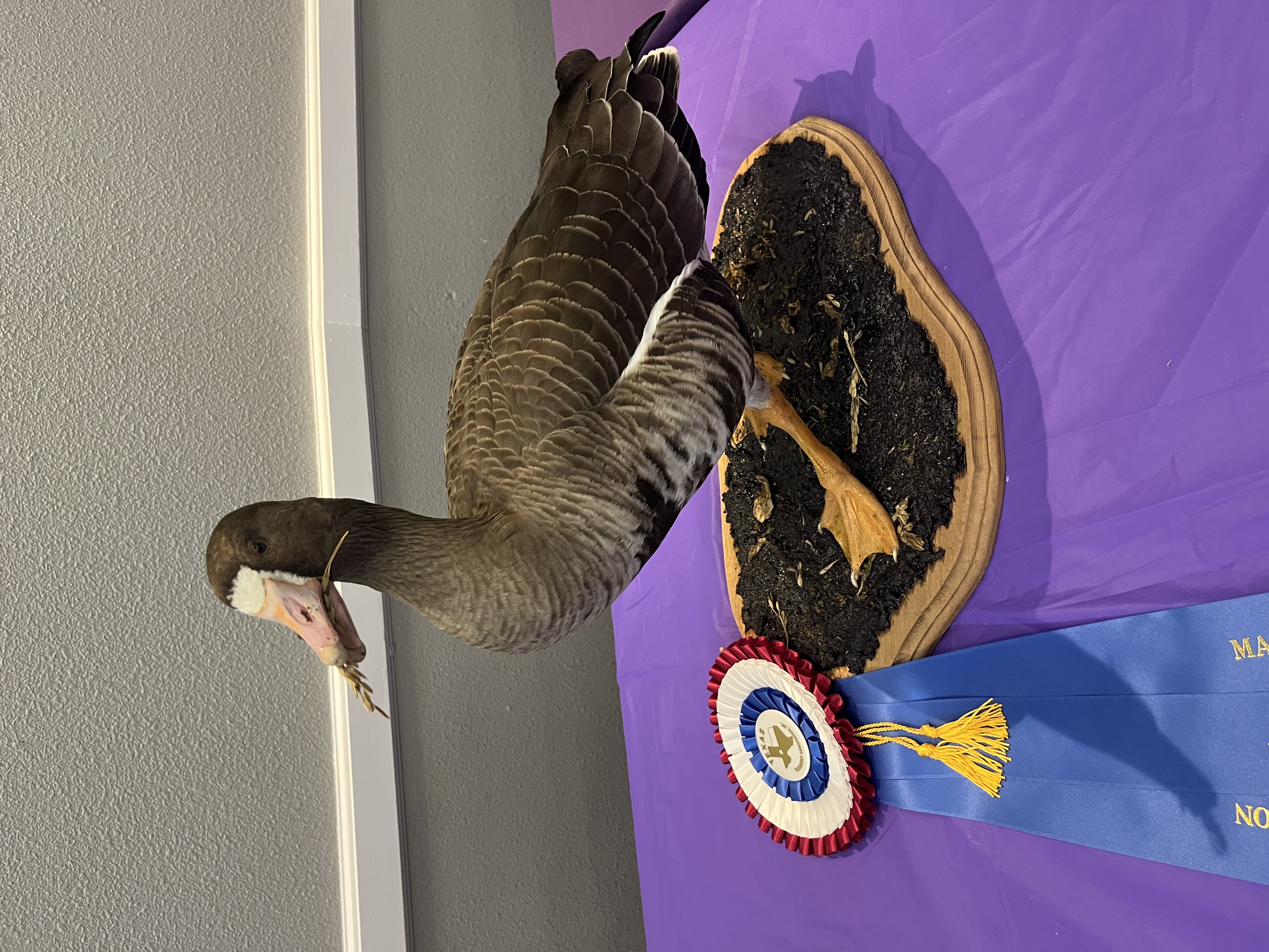 IMG_4160.jpeg