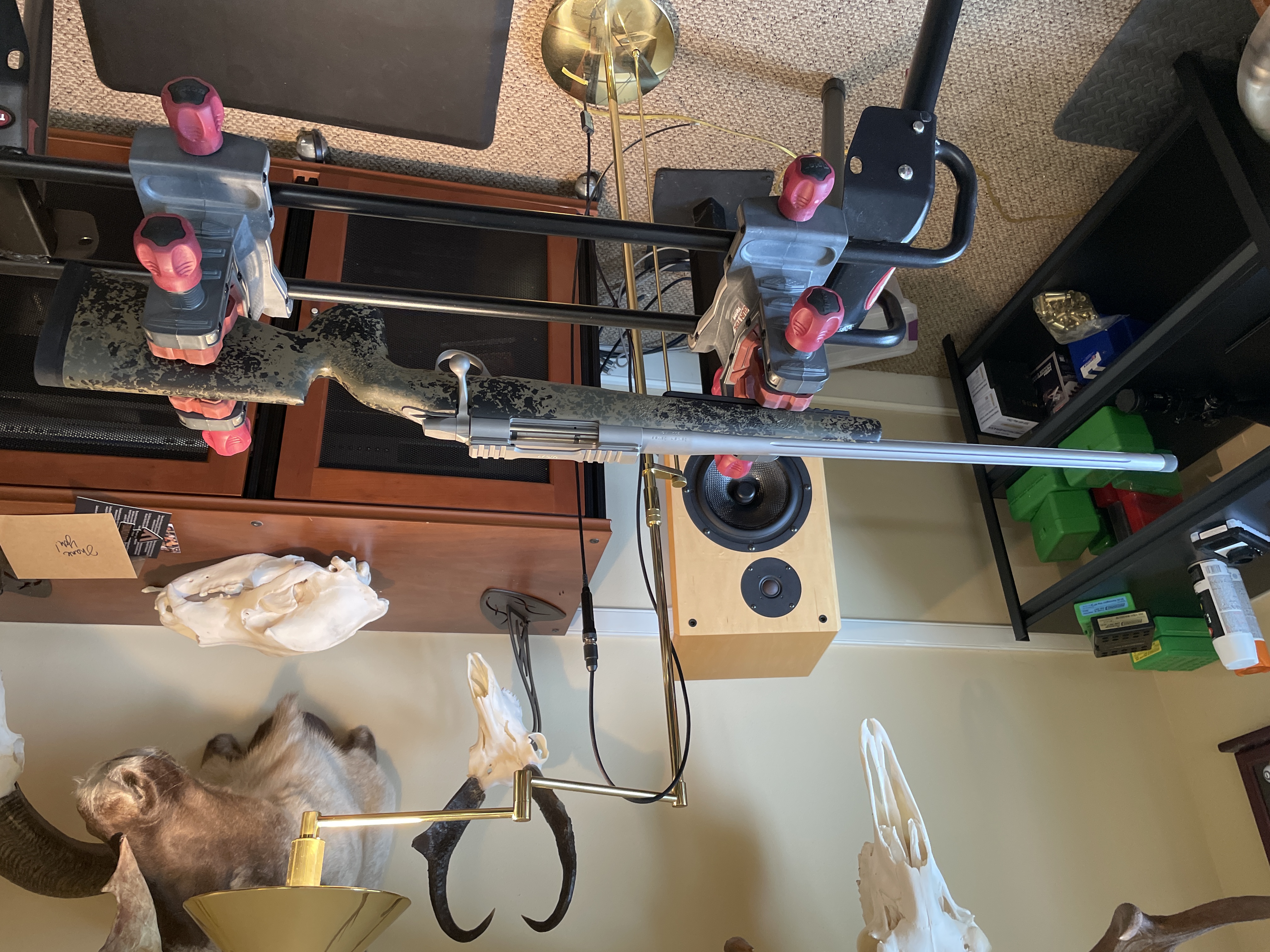 IMG_4193.jpeg