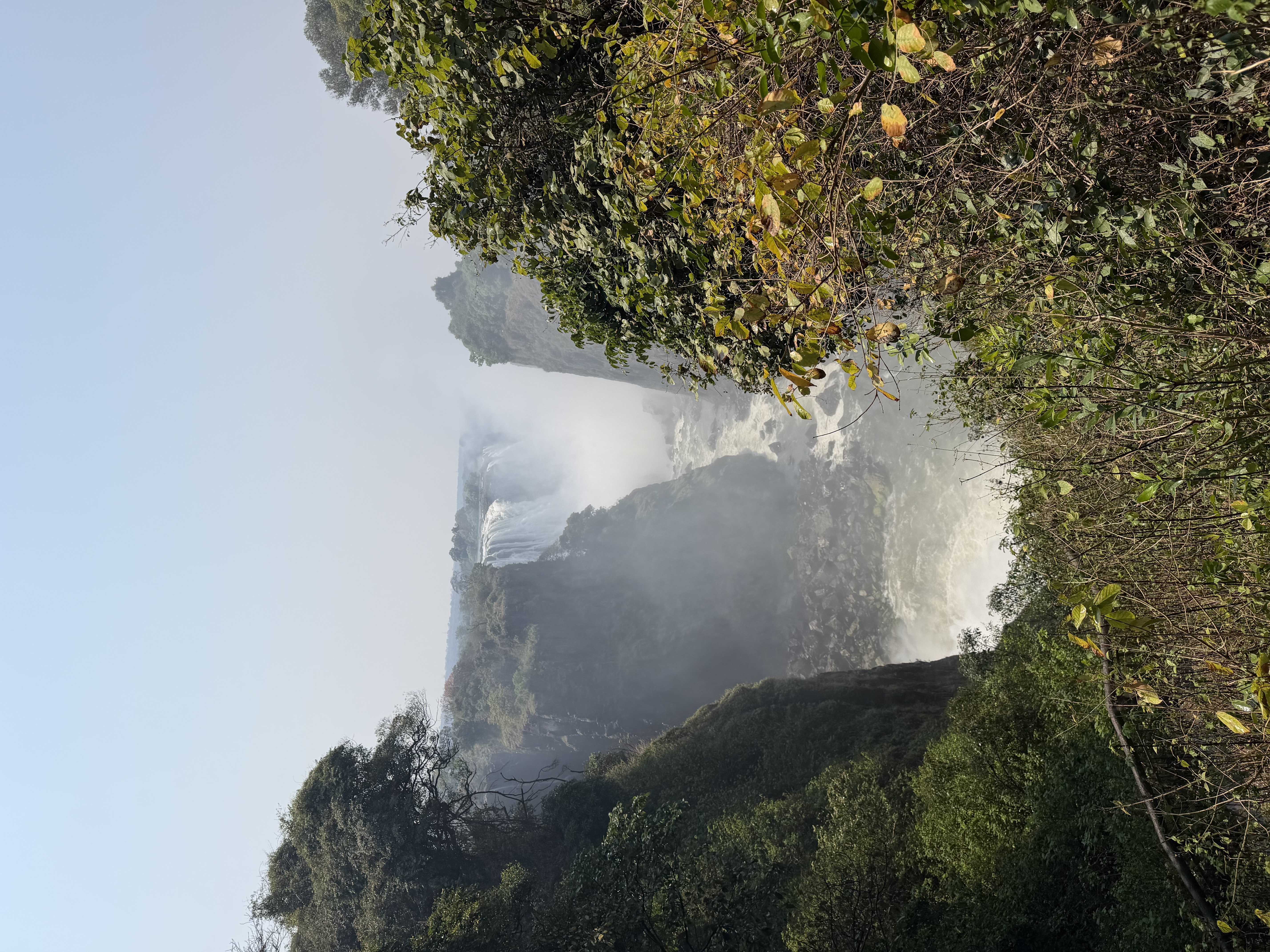 IMG_4567.jpeg