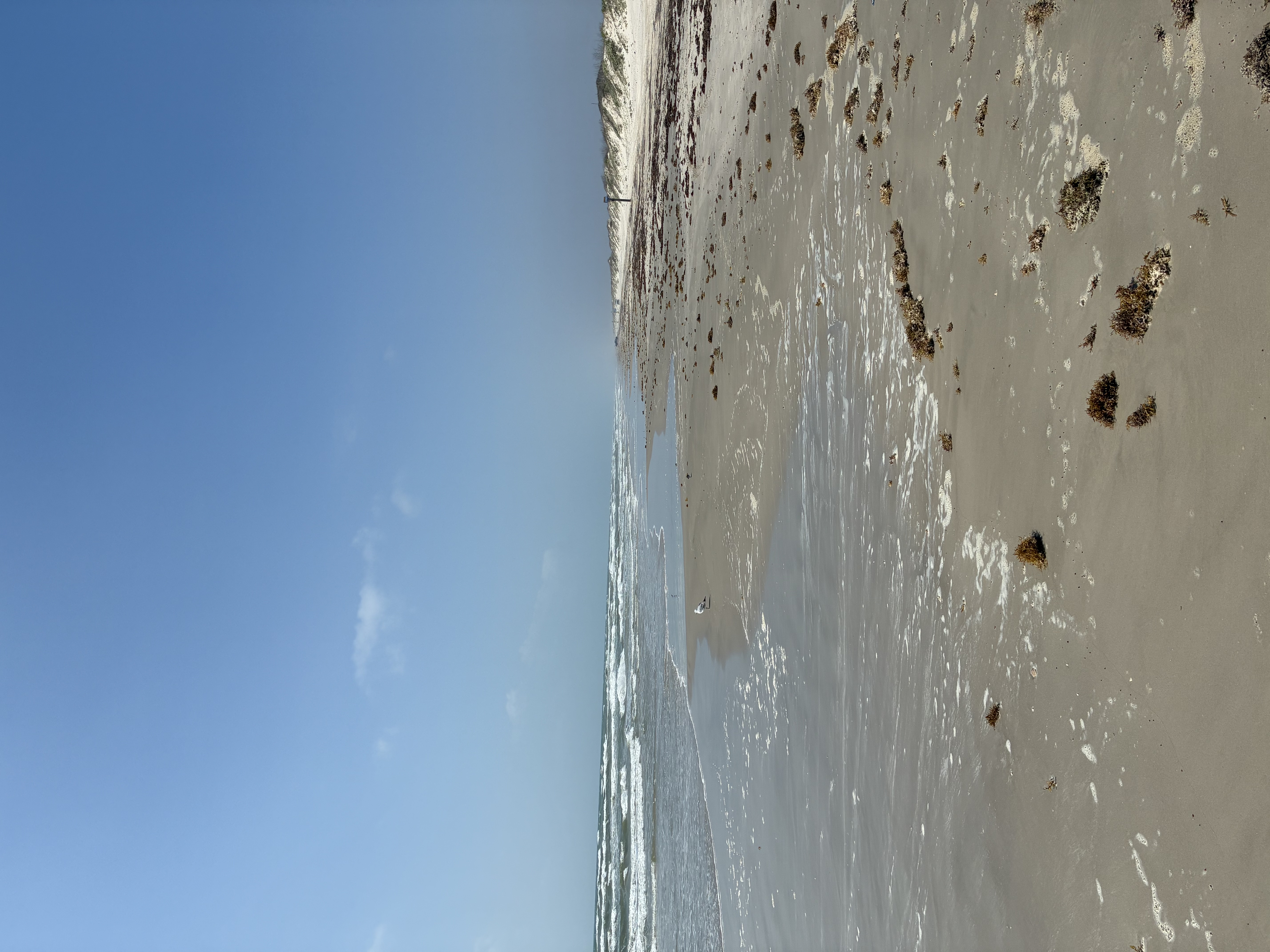 IMG_4574.jpeg