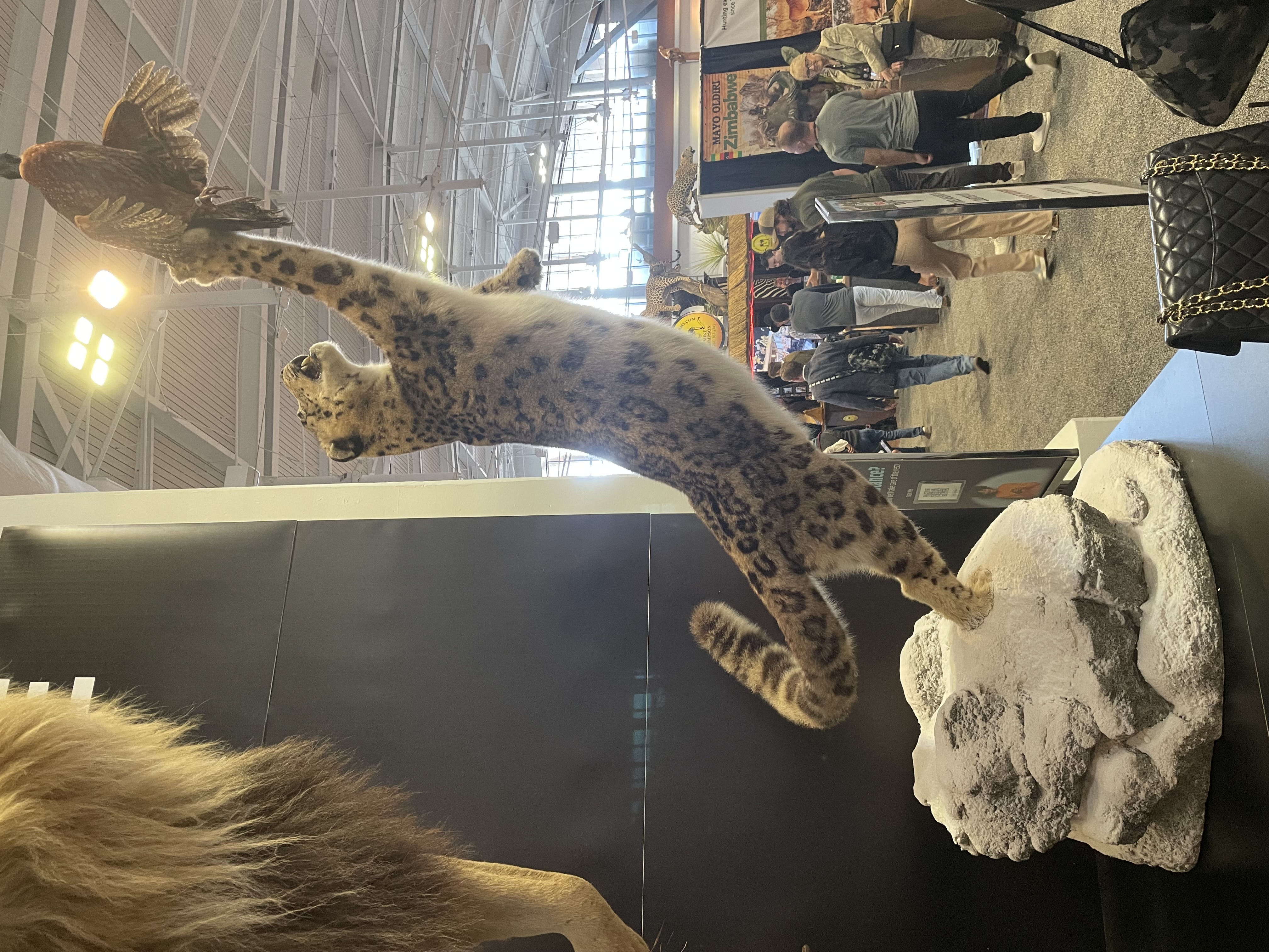 IMG_4736.jpeg IMG_4736.jpeg