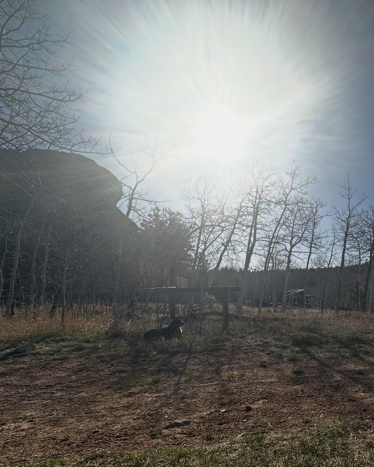 IMG_4737.jpeg