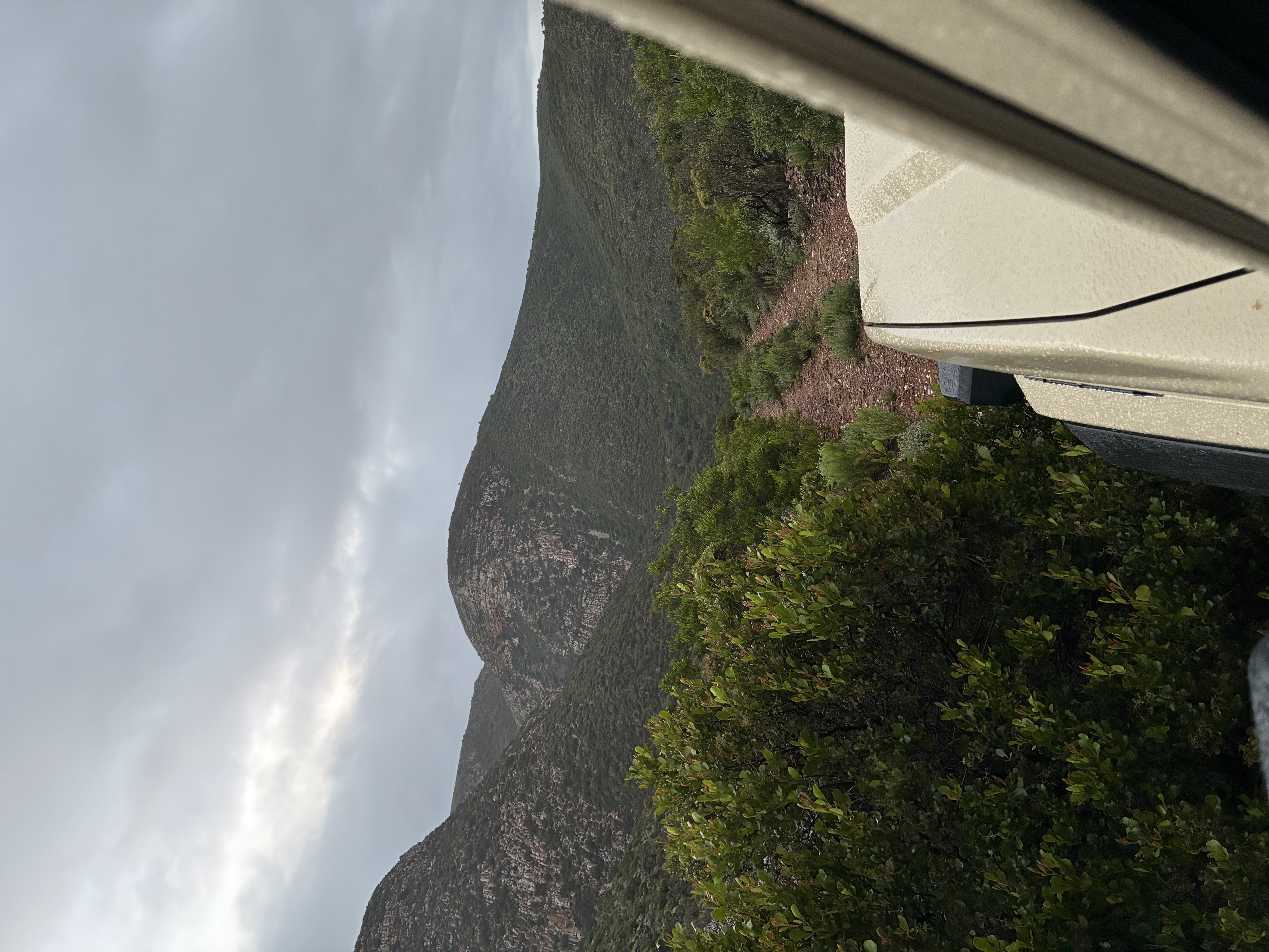 IMG_4817.jpeg