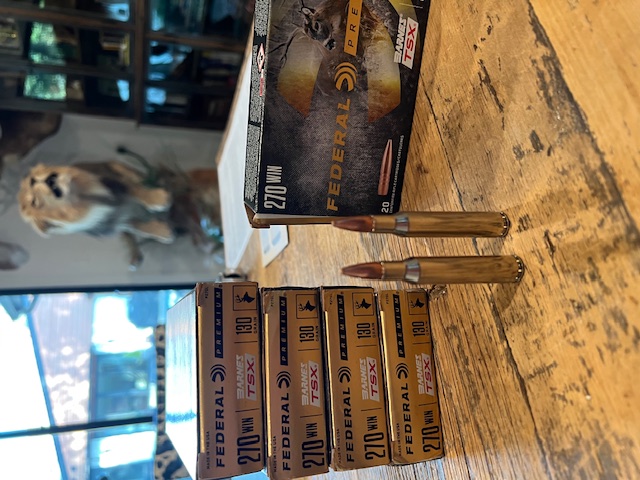 IMG_4821.jpeg IMG_4821.jpeg