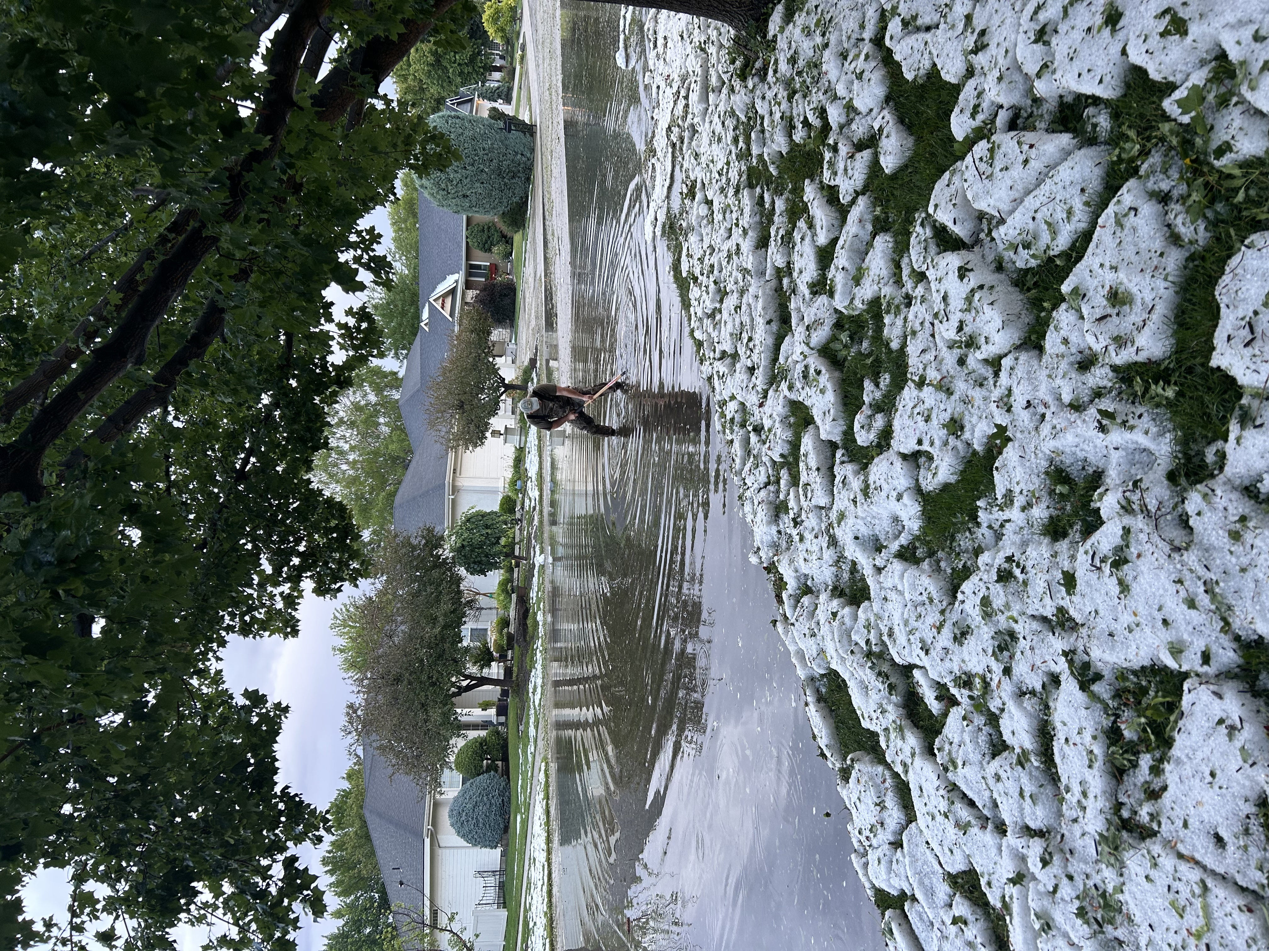 IMG_4906.jpeg