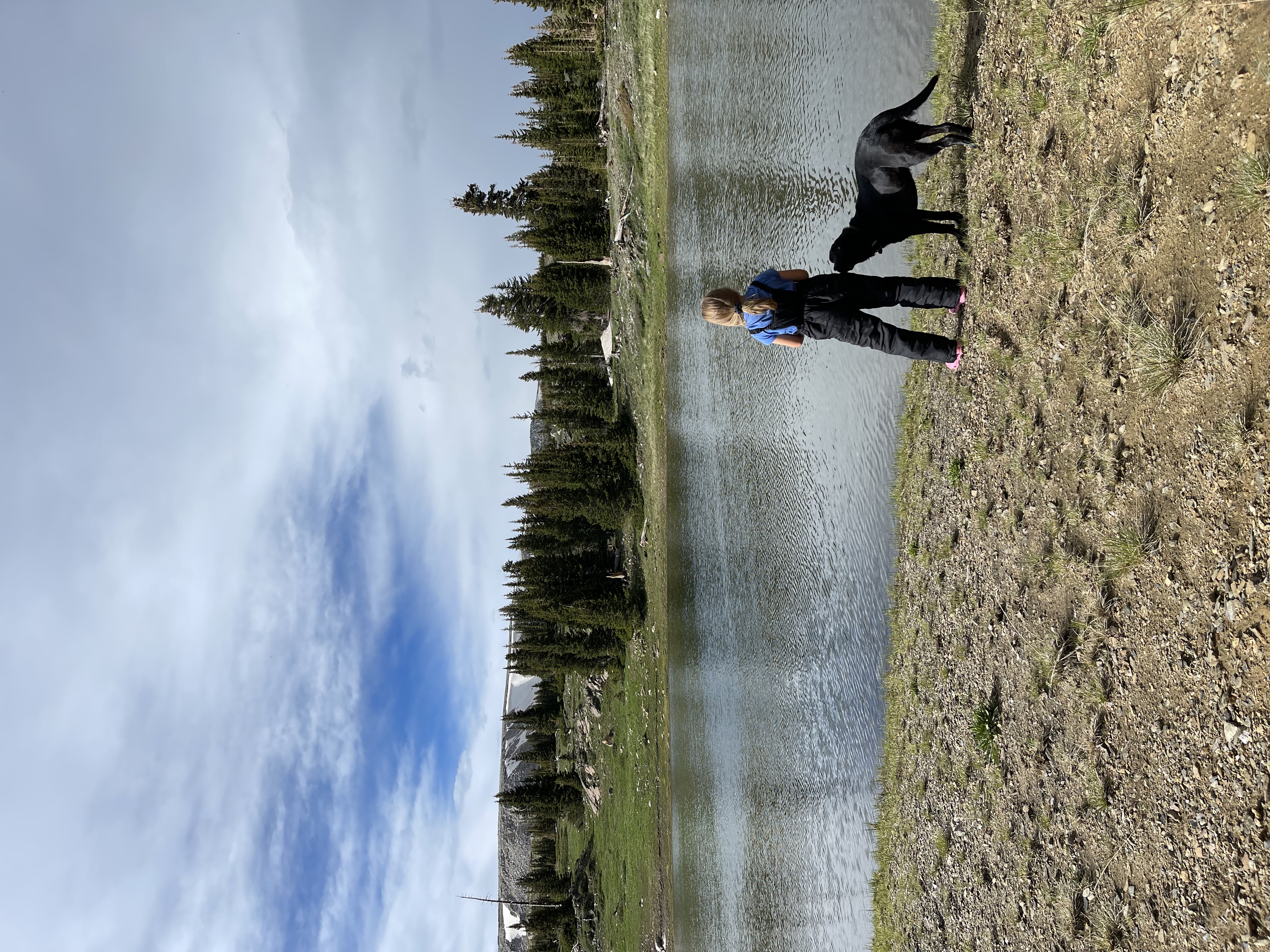 IMG_4932.jpeg