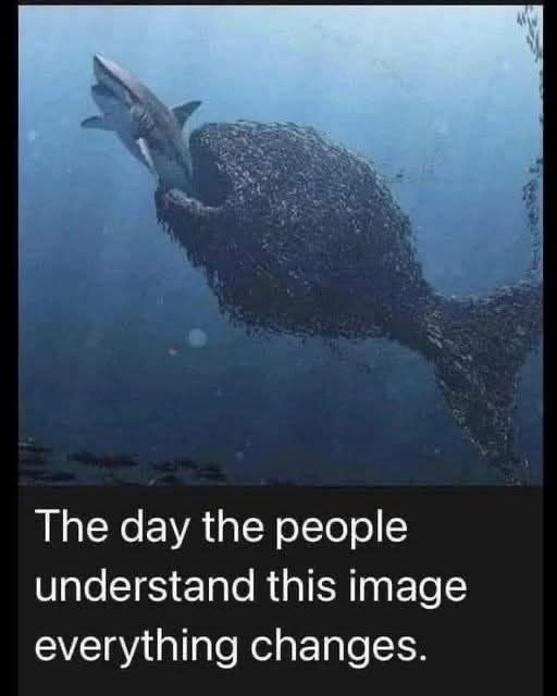 IMG_5047.jpeg
