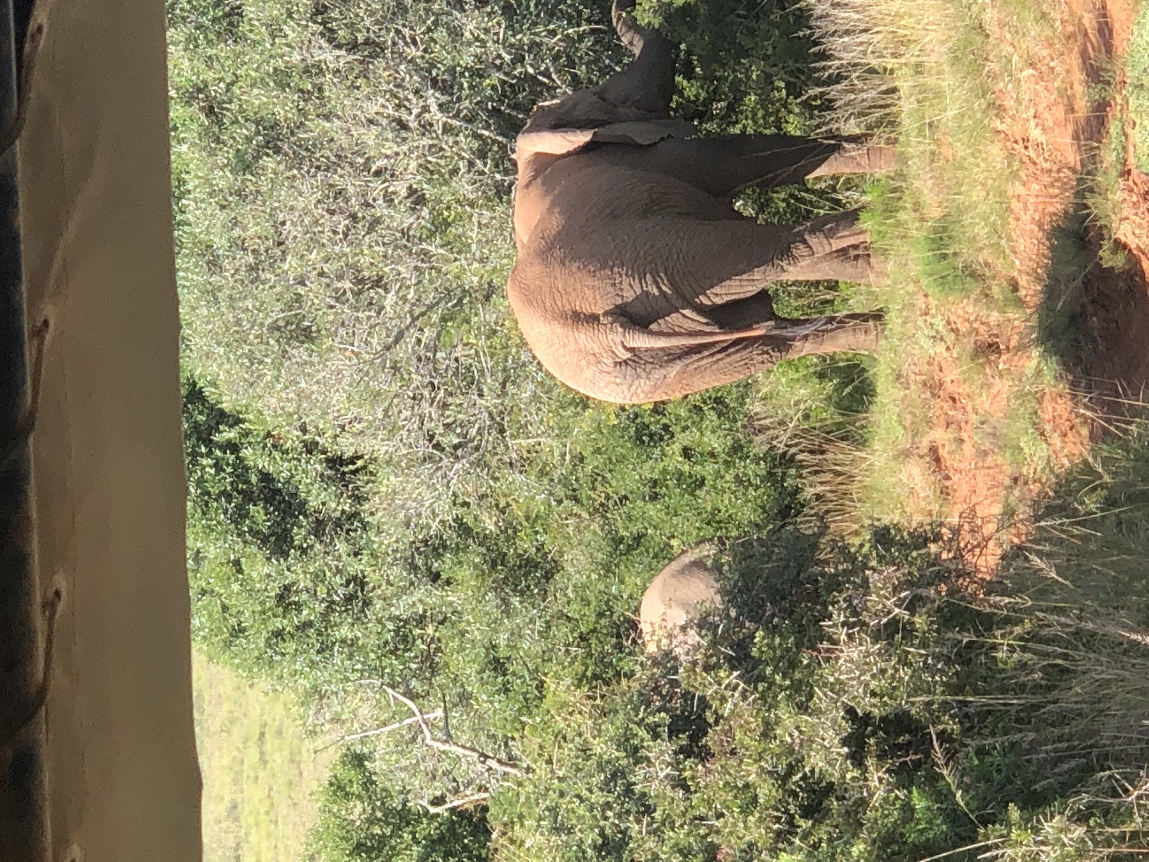 IMG_5082.jpeg