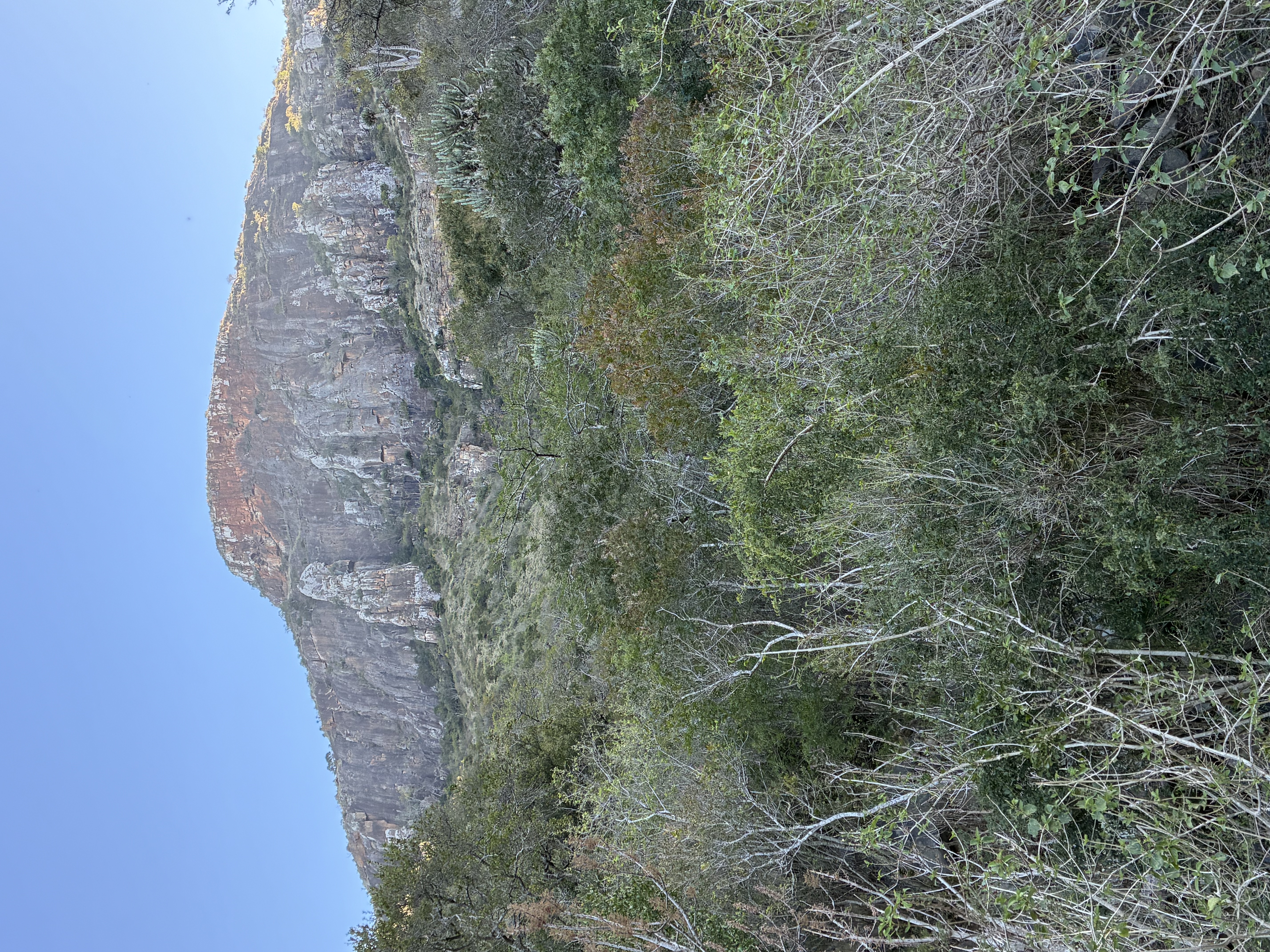 IMG_5216.jpeg