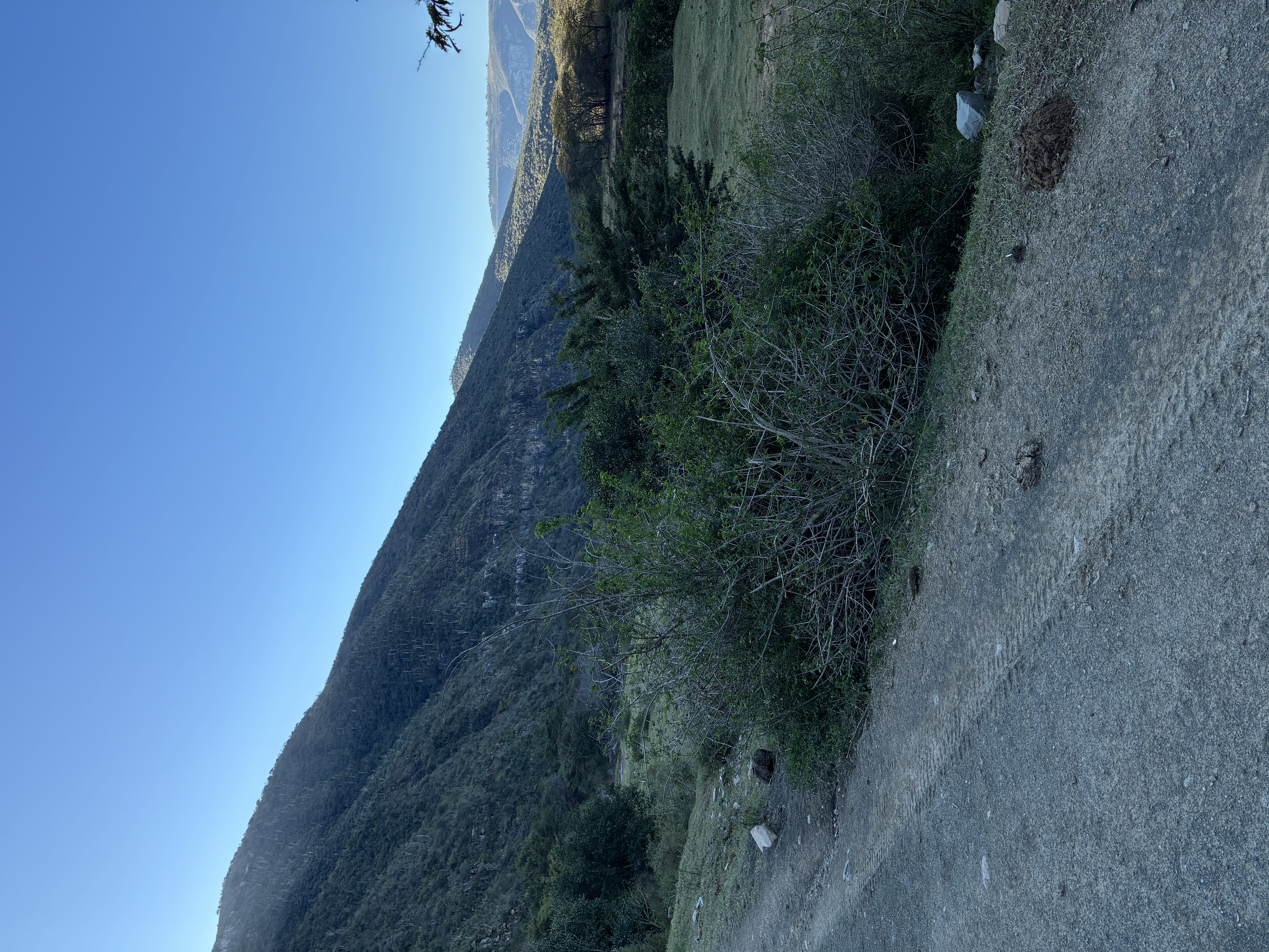 IMG_5219.jpeg