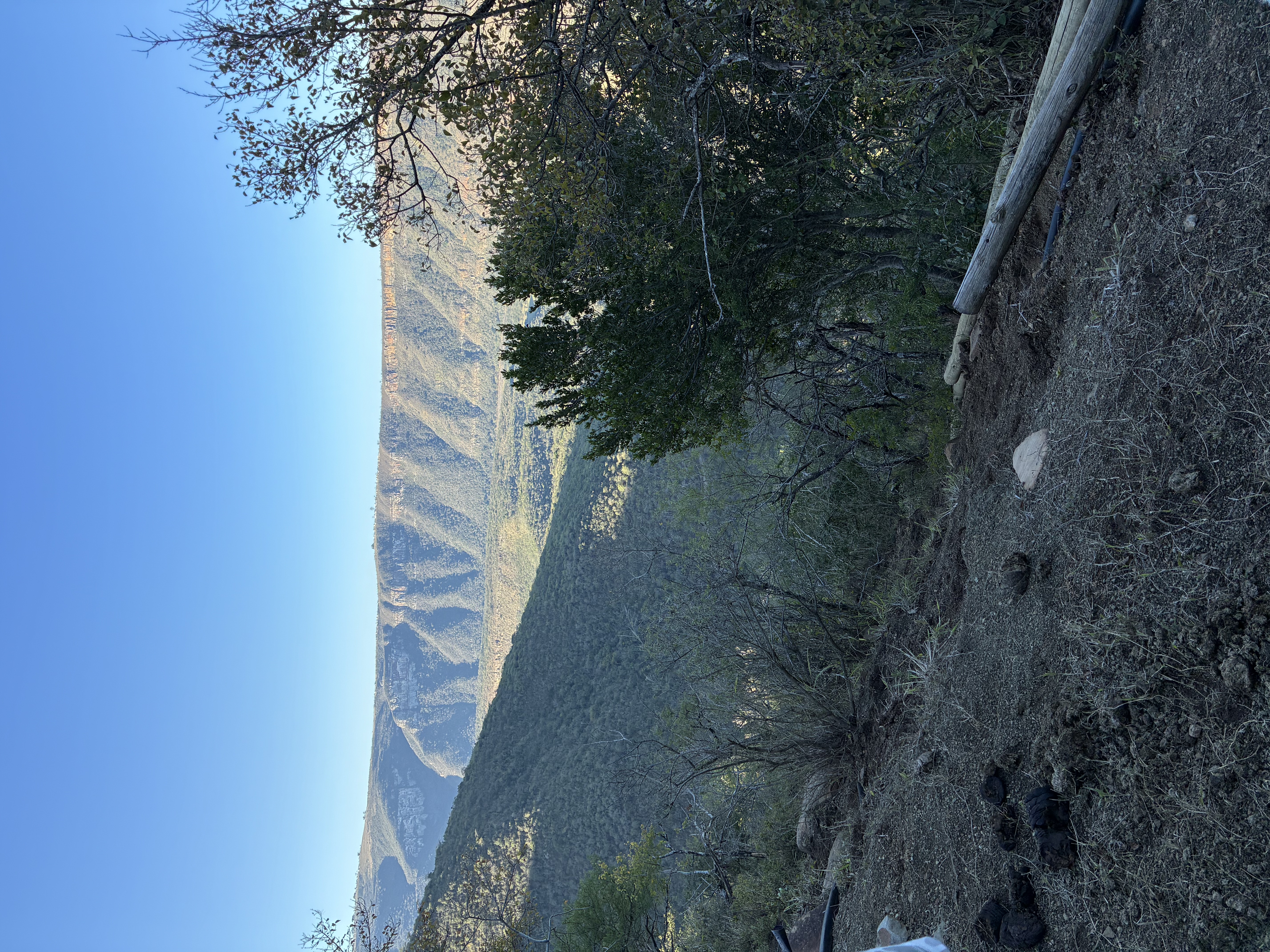 IMG_5225.jpeg