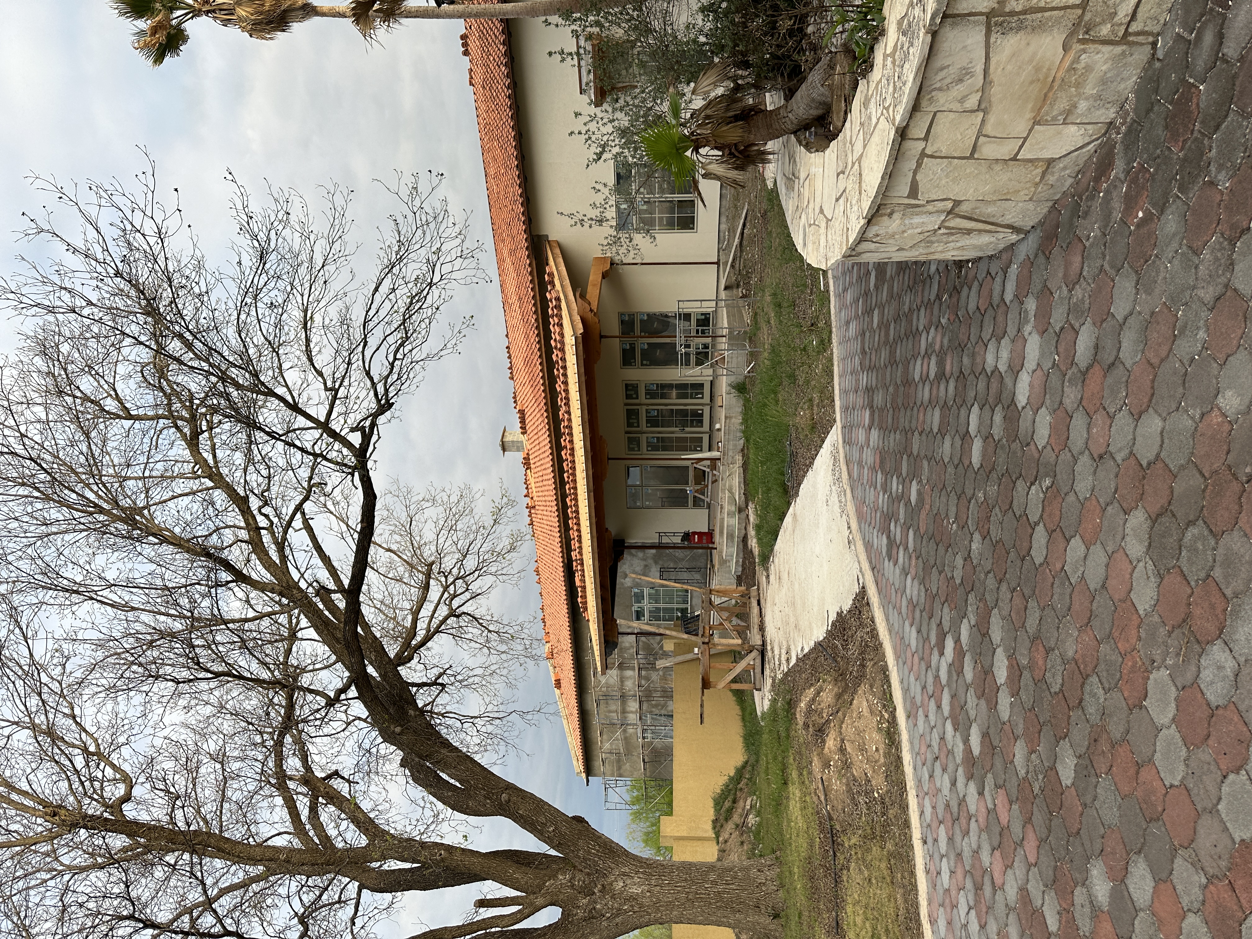 IMG_5262.jpeg