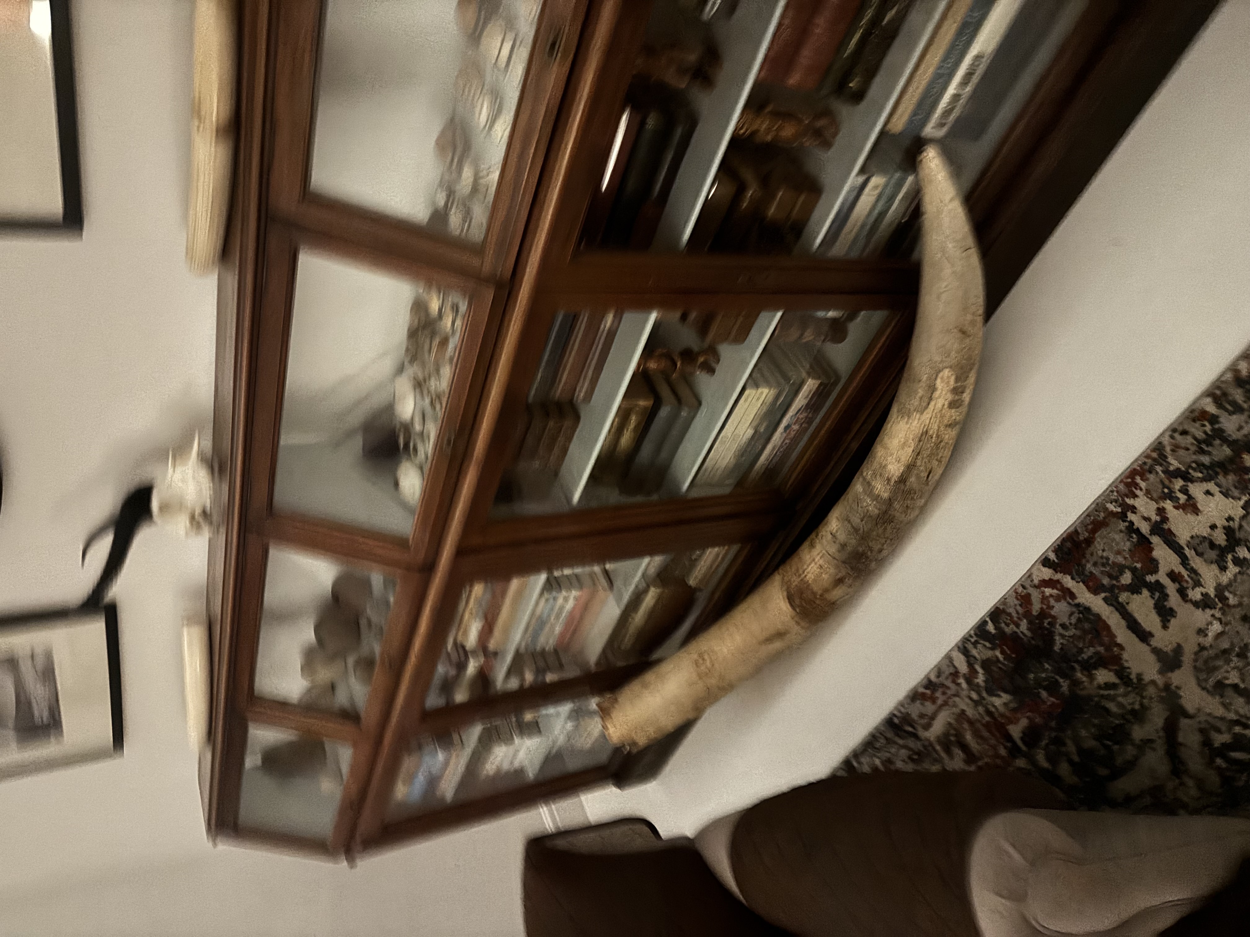 IMG_5319.jpeg