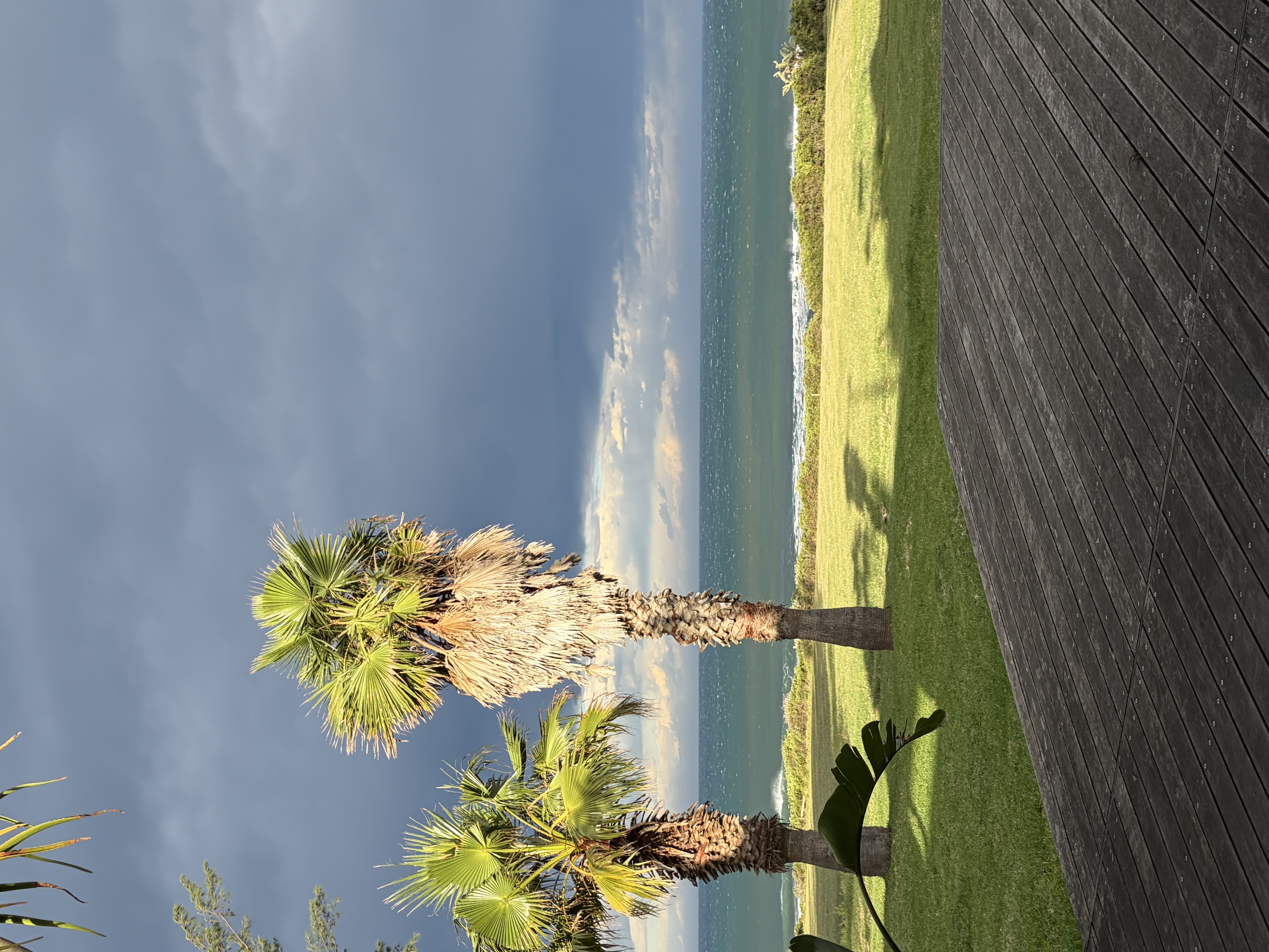 IMG_5801.jpeg
