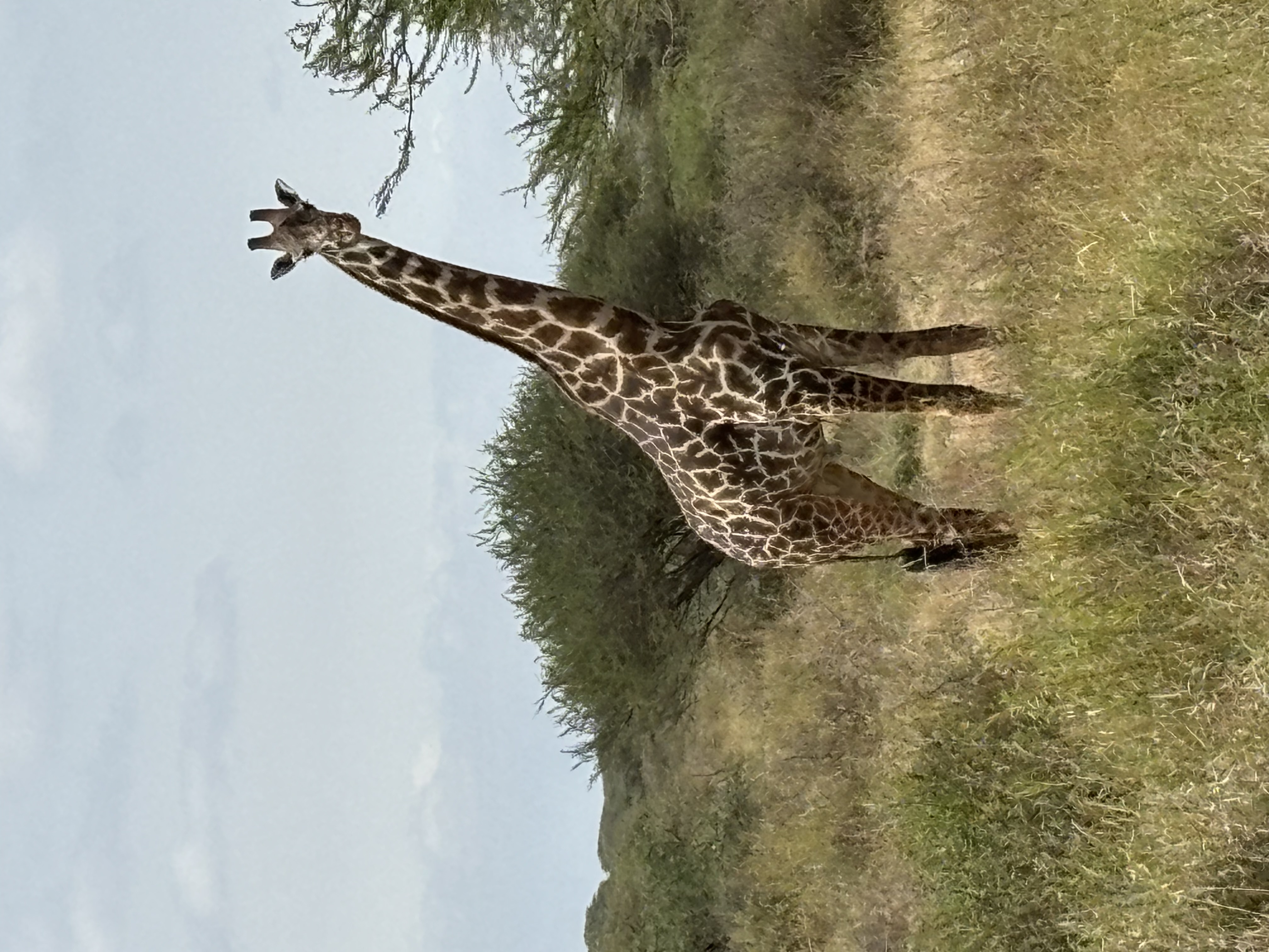 IMG_5891.jpeg