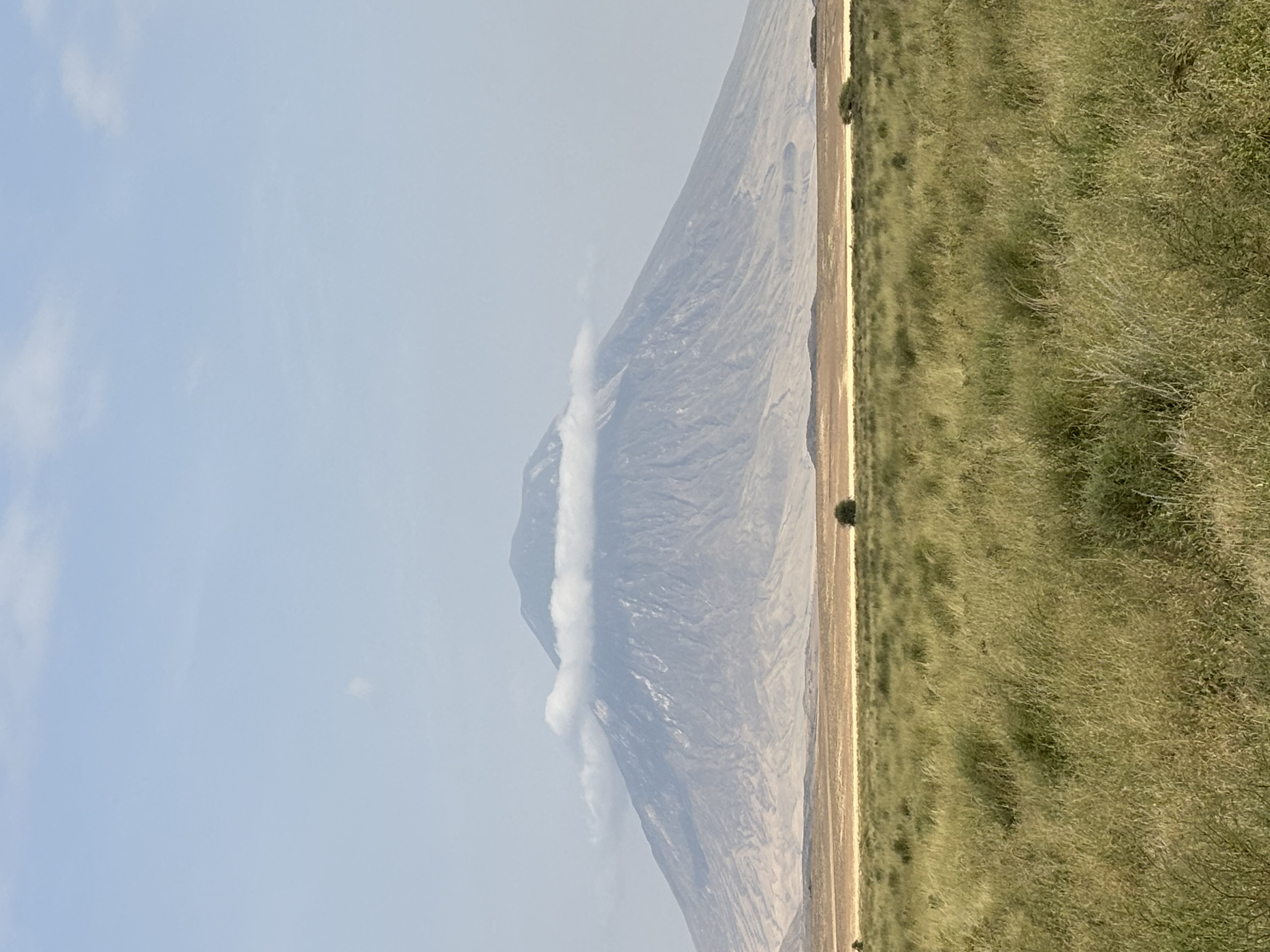 IMG_5931.jpeg