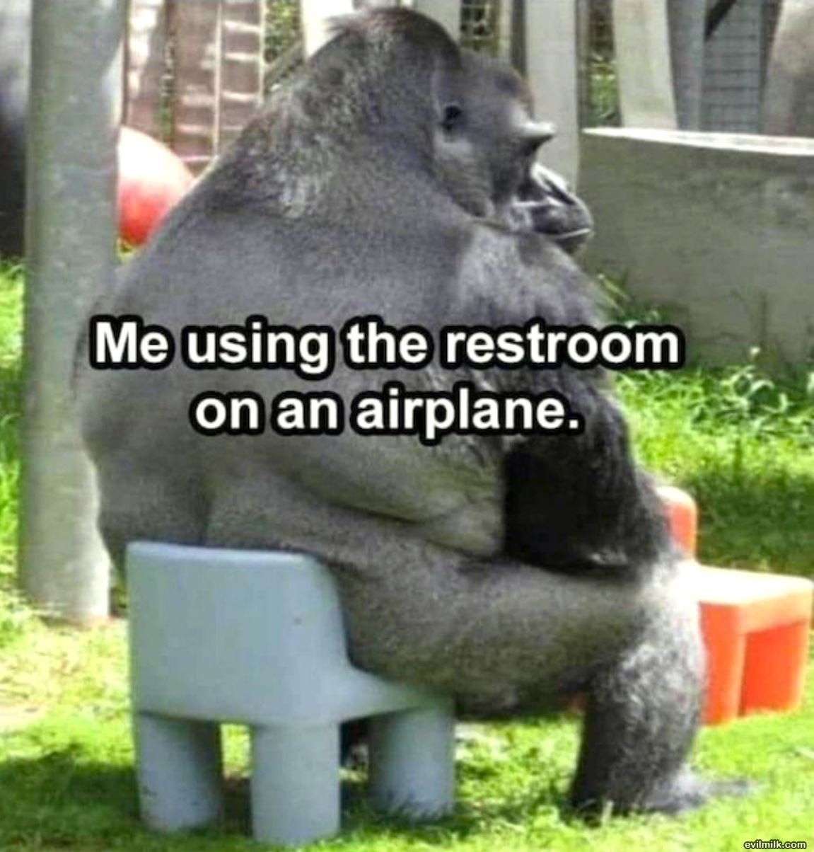 IMG_6044.png
