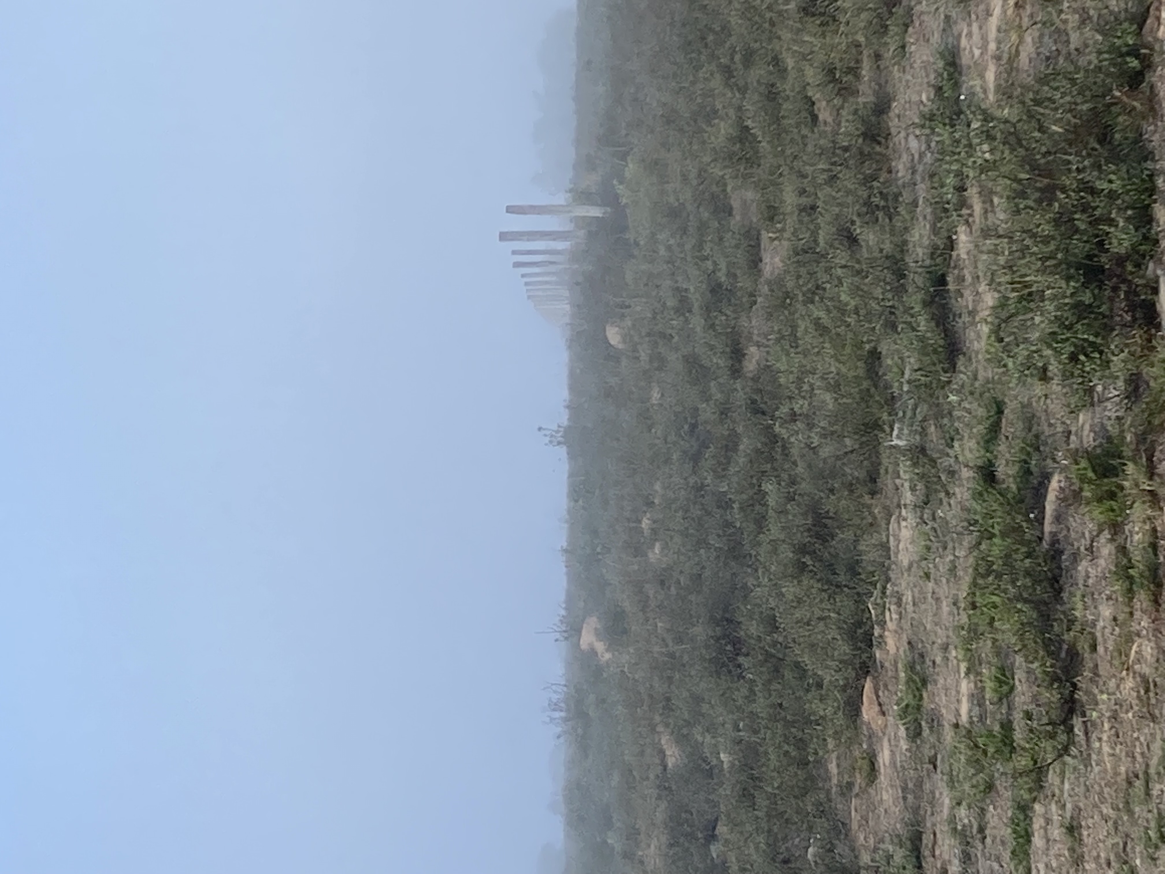 IMG_6100.jpeg