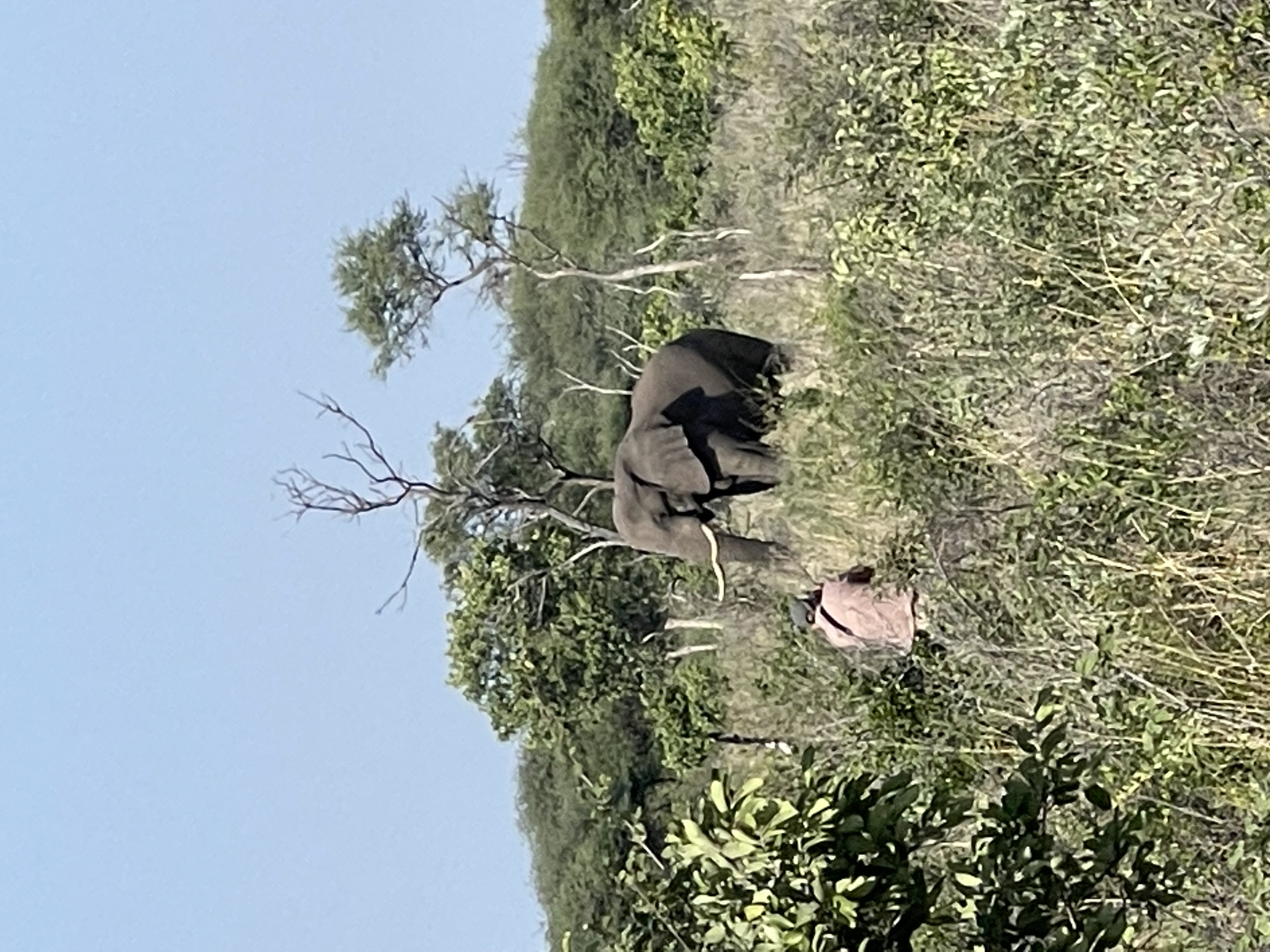 IMG_6159.jpeg