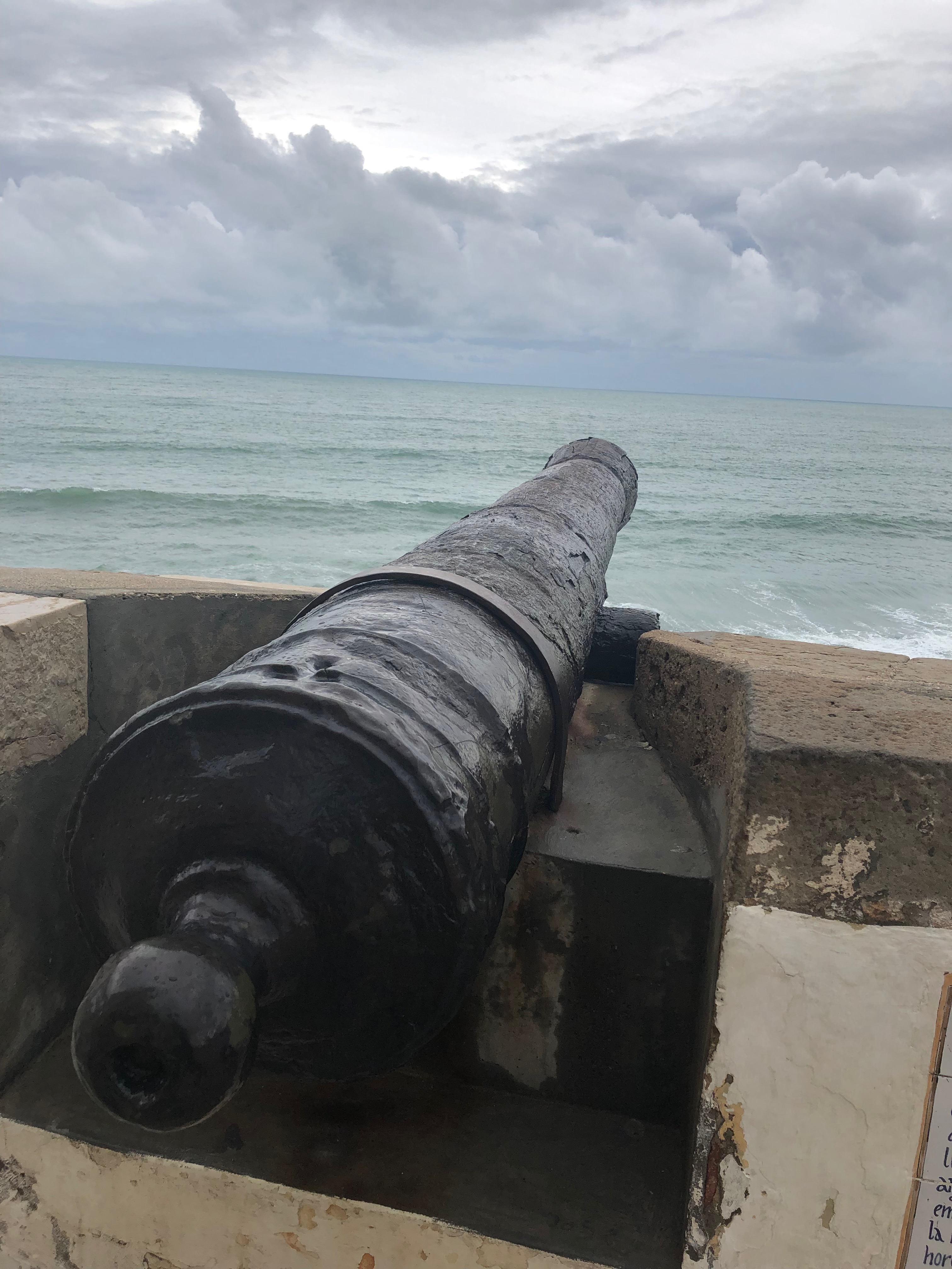 IMG_6213.jpeg