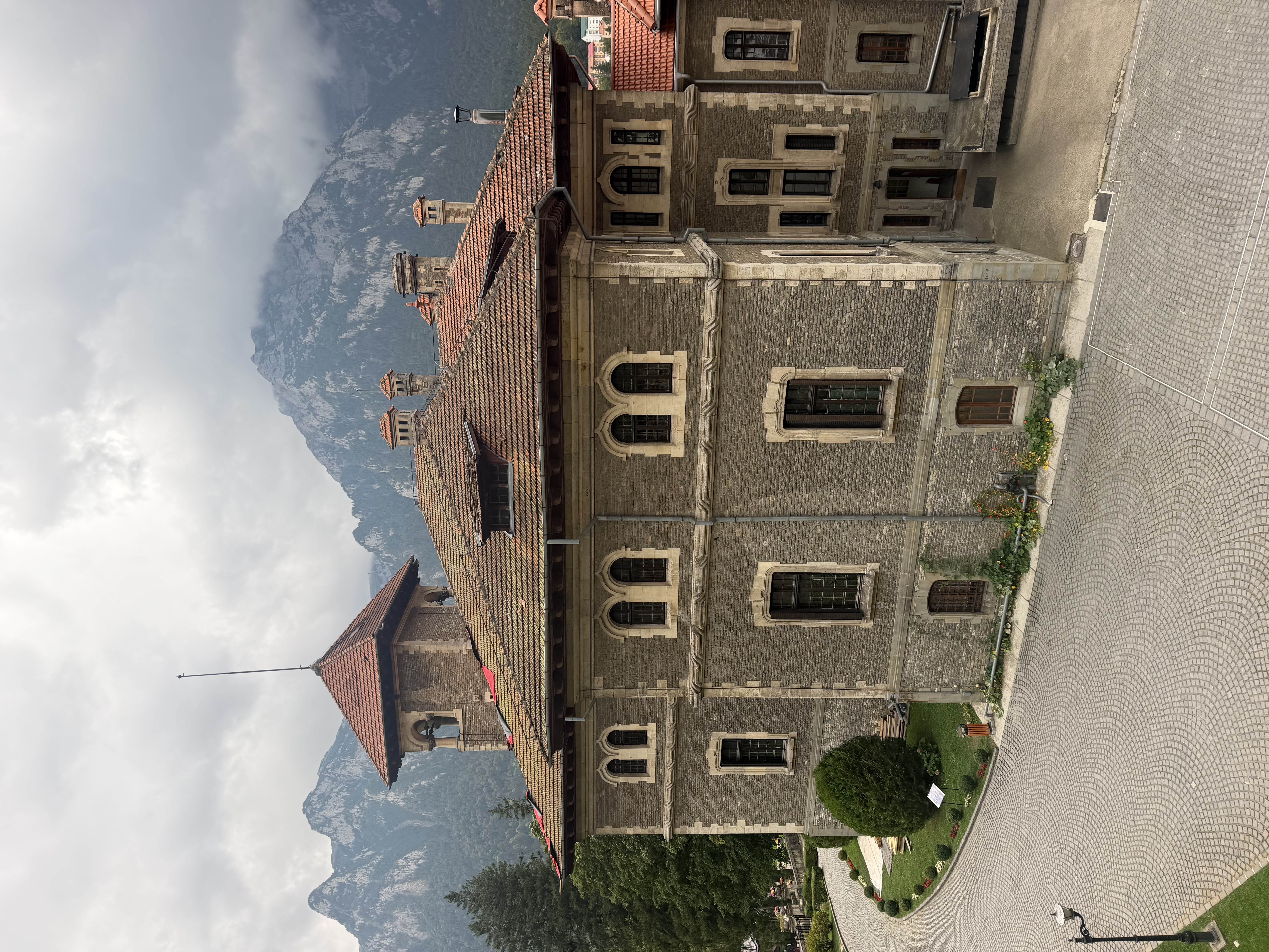 IMG_6395.jpeg