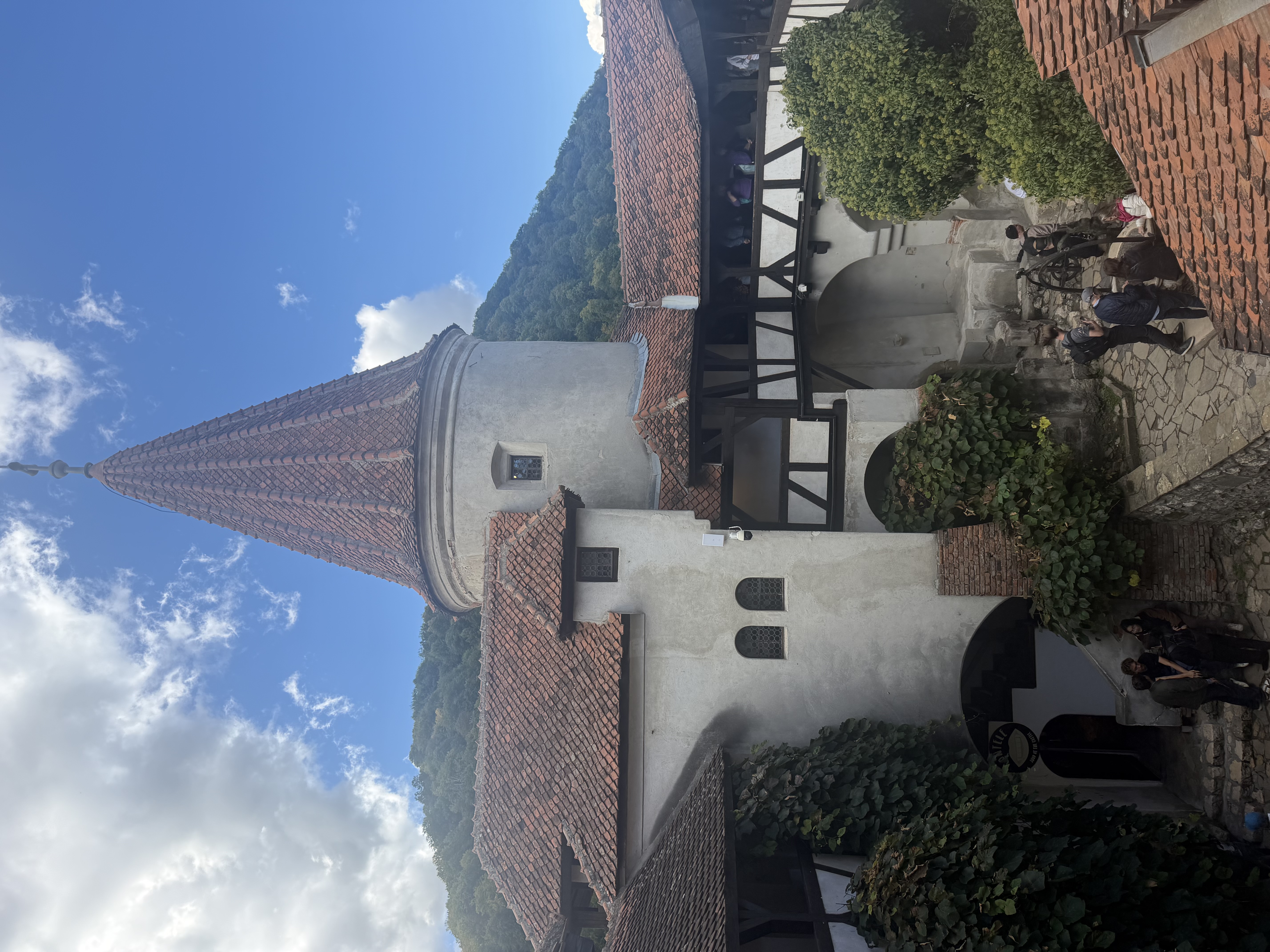 IMG_6484.jpeg