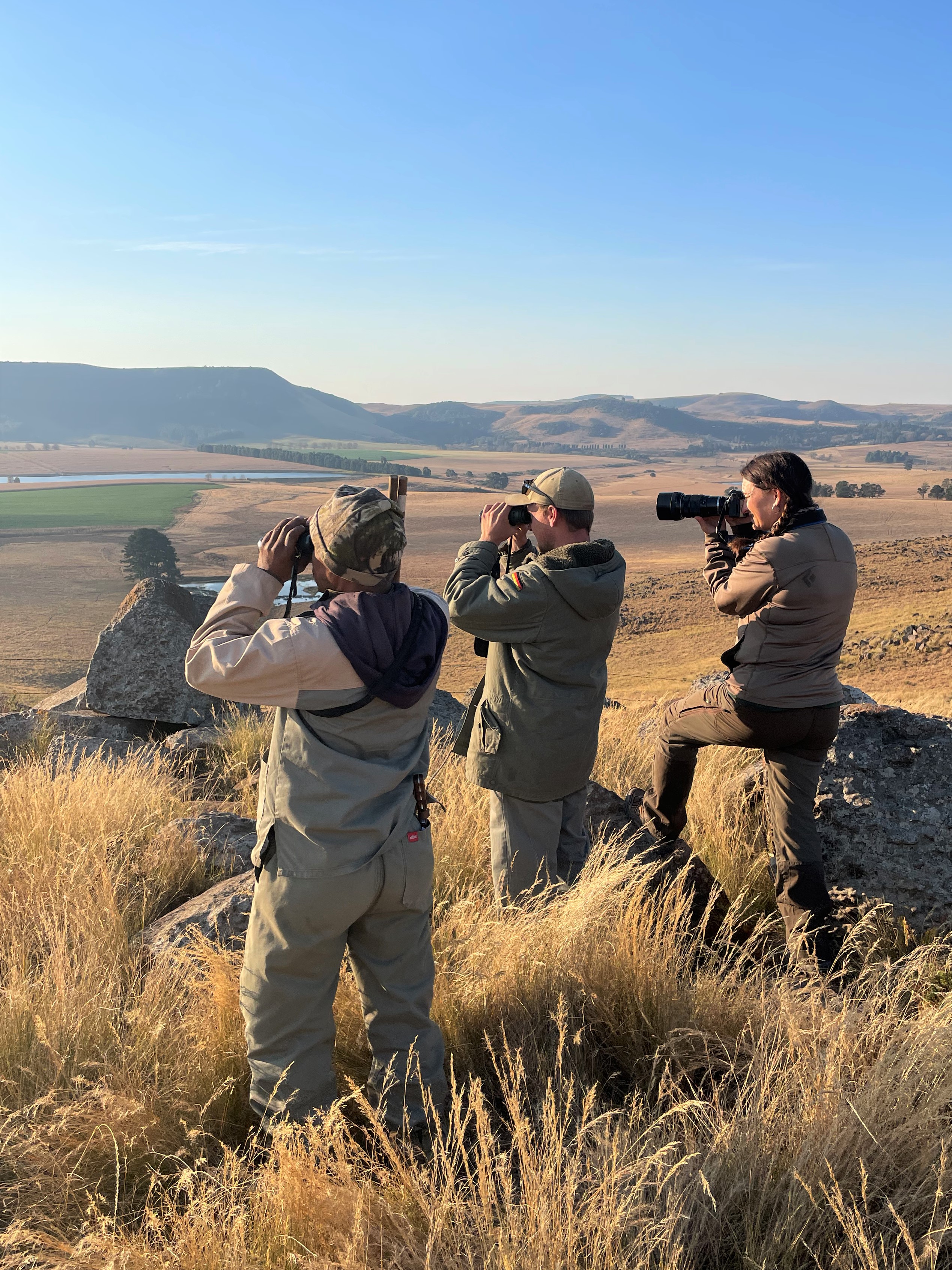 IMG_6653 Glassing for Reedbuck.jpg