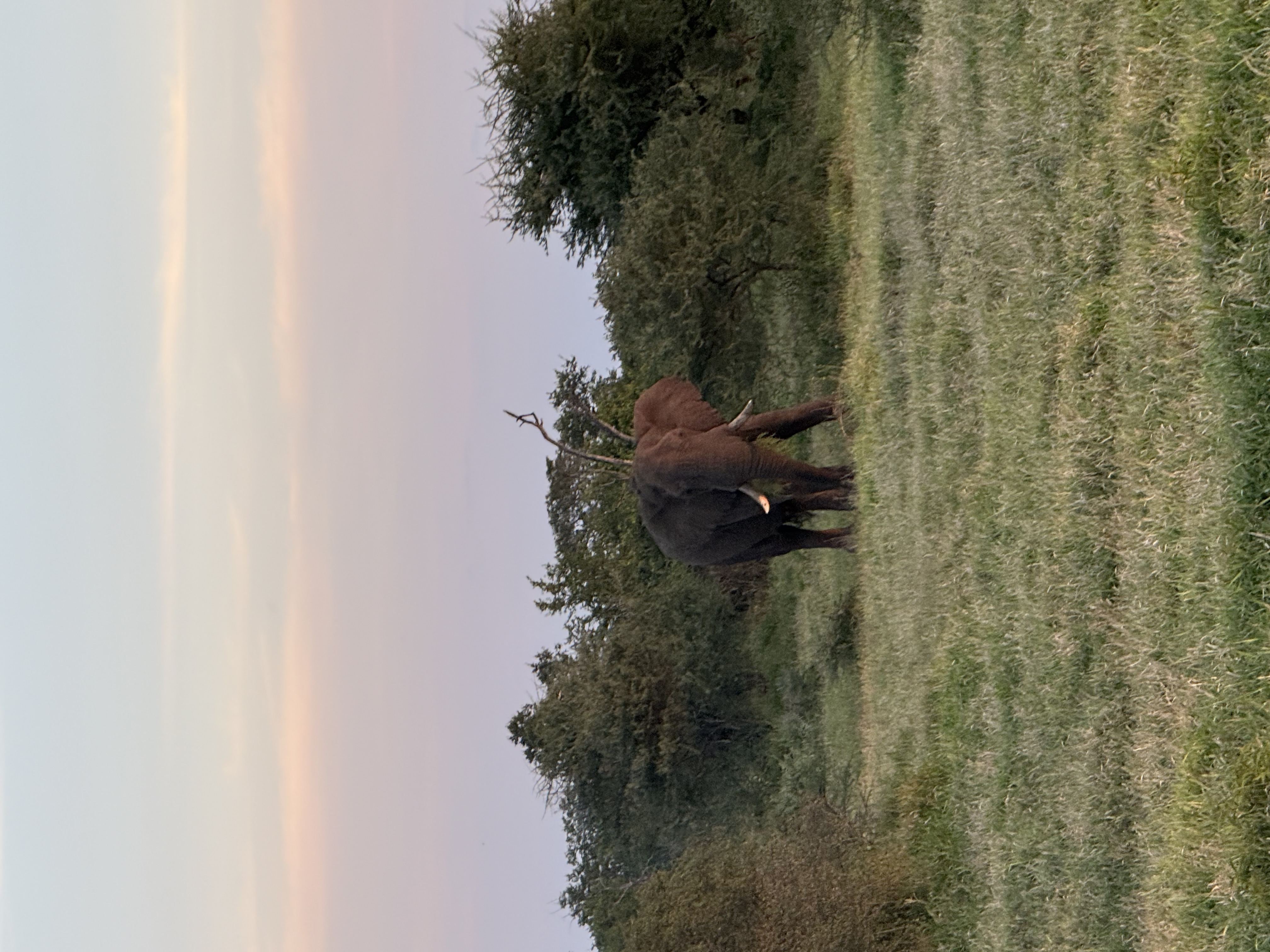 IMG_6758.jpeg
