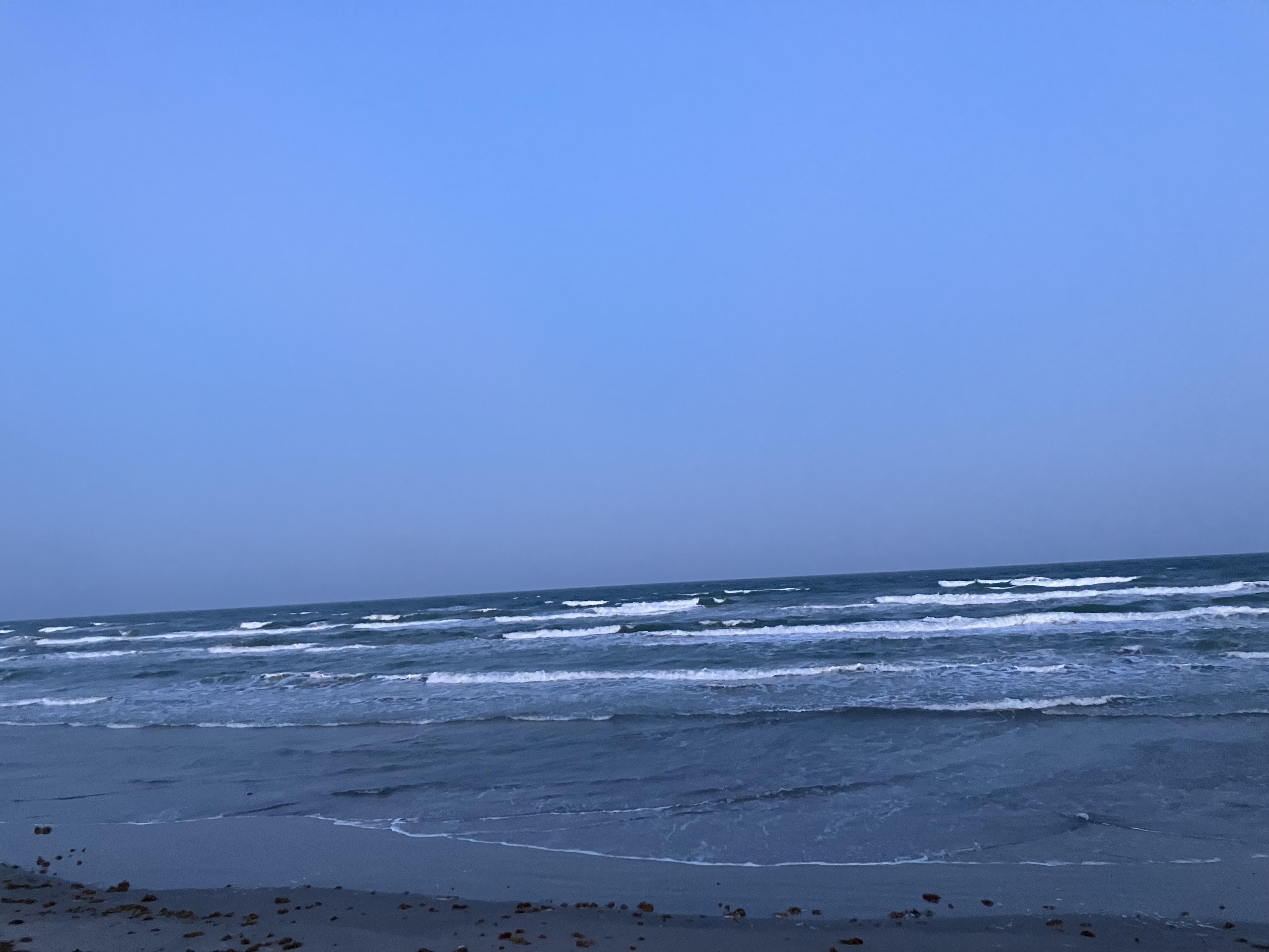 IMG_6950.jpeg