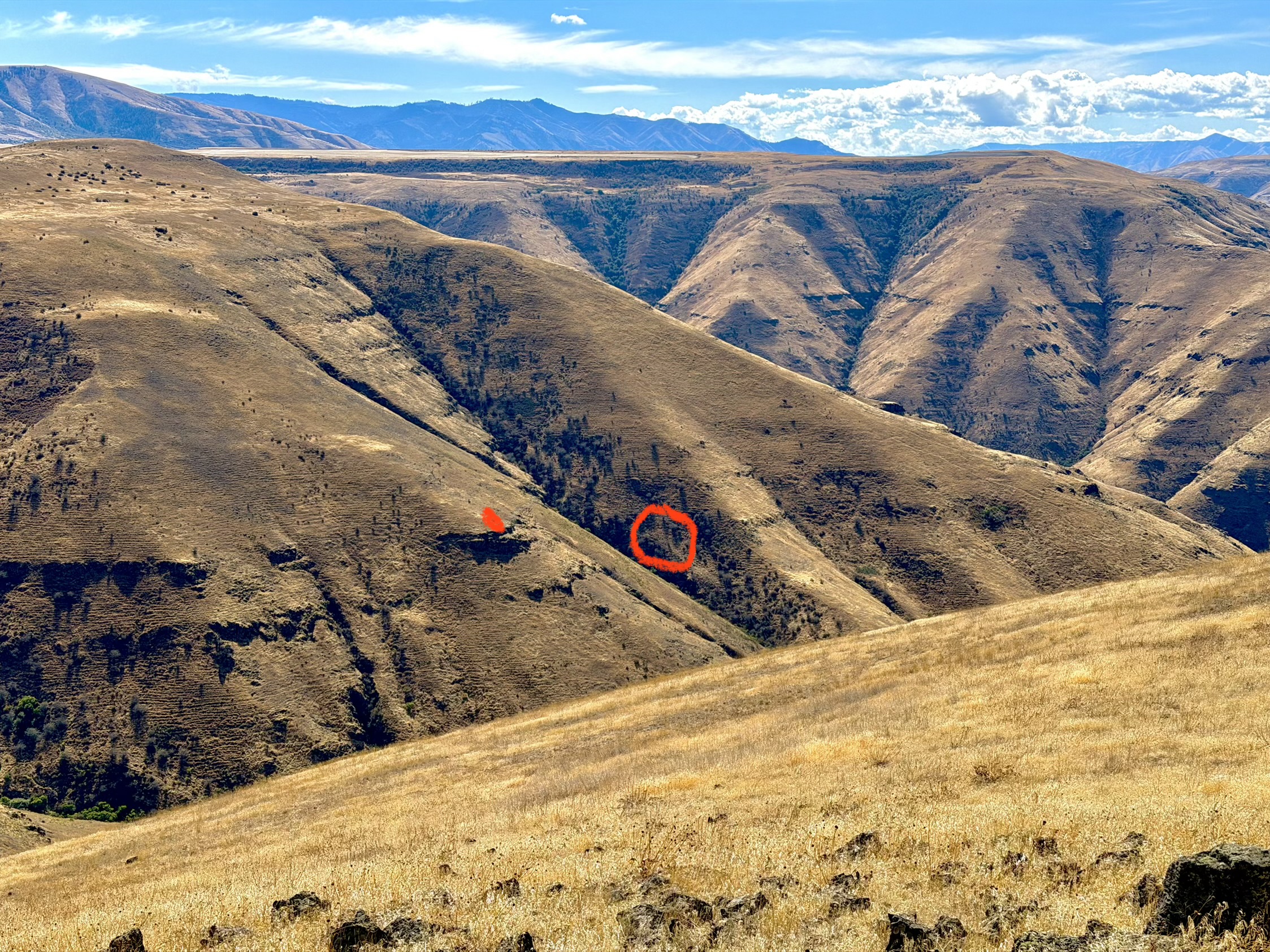 IMG_7067.jpeg