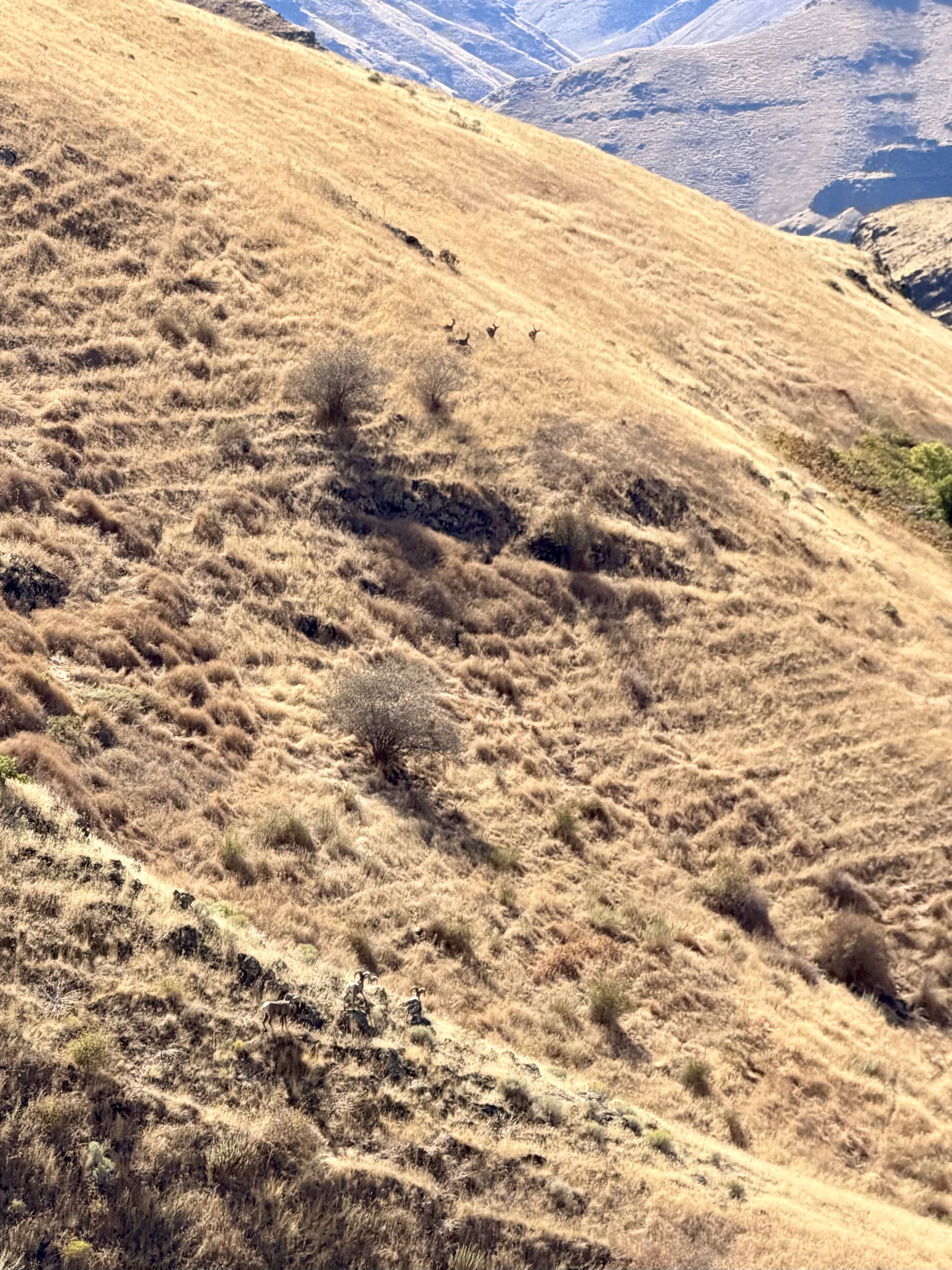IMG_7092.jpeg