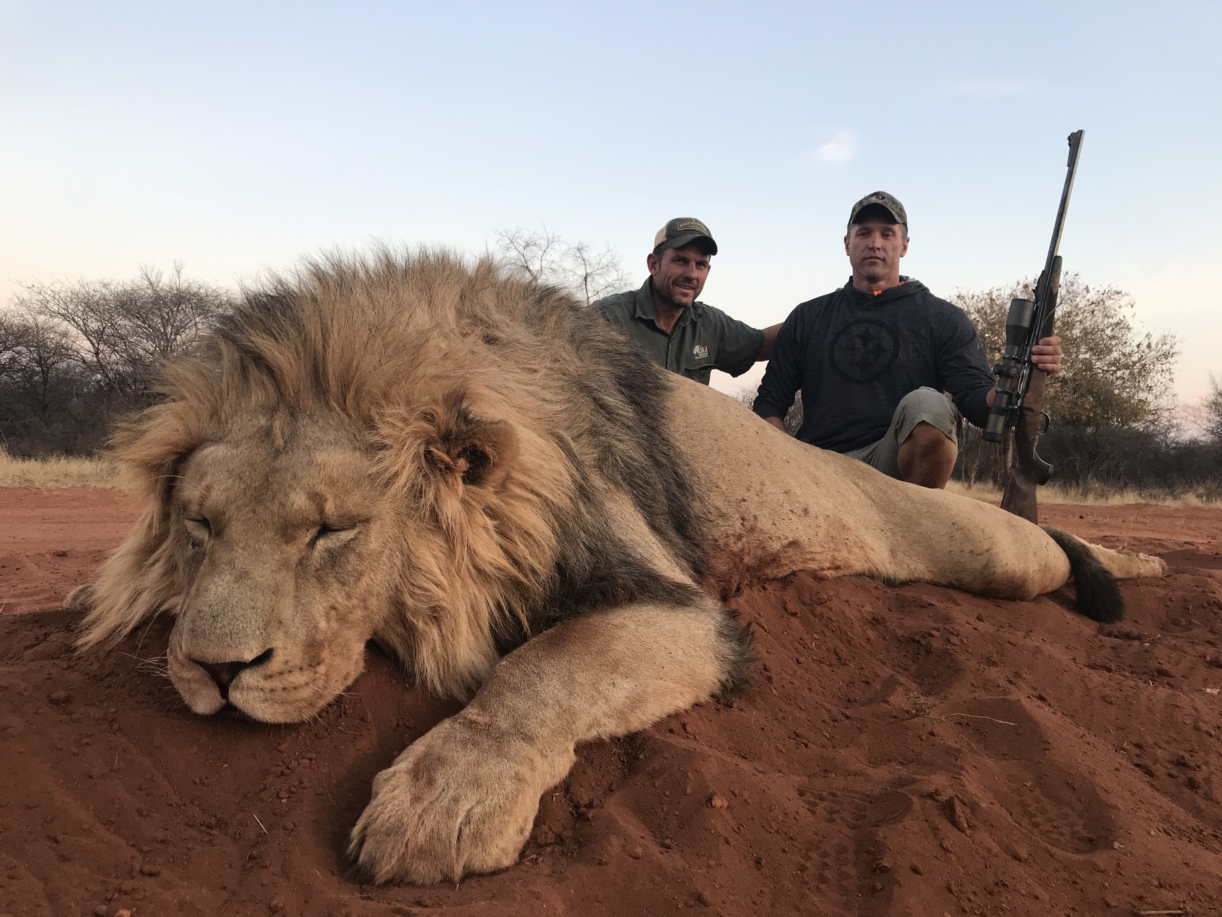 safari lion hunt