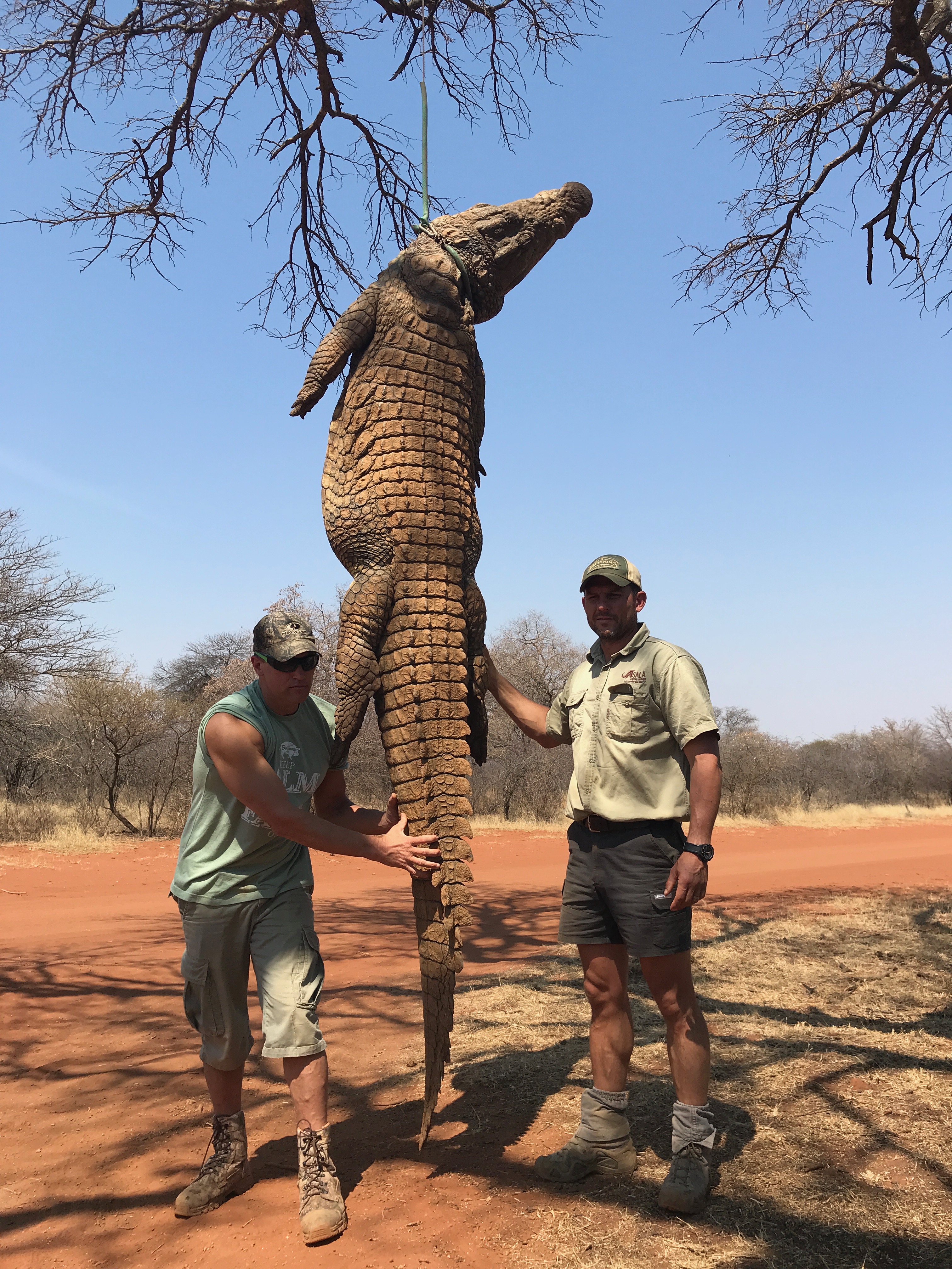 img_7364-jpeg.316450