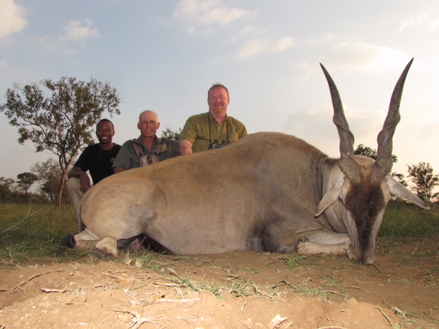 wild wildebeest safaris prices