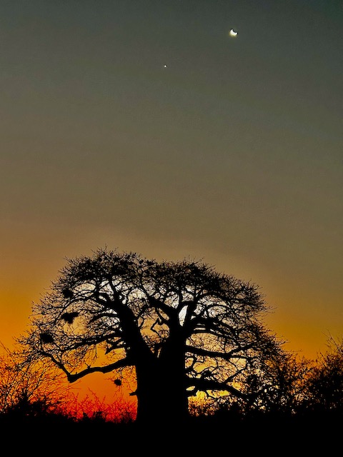 IMG_8207.jpeg