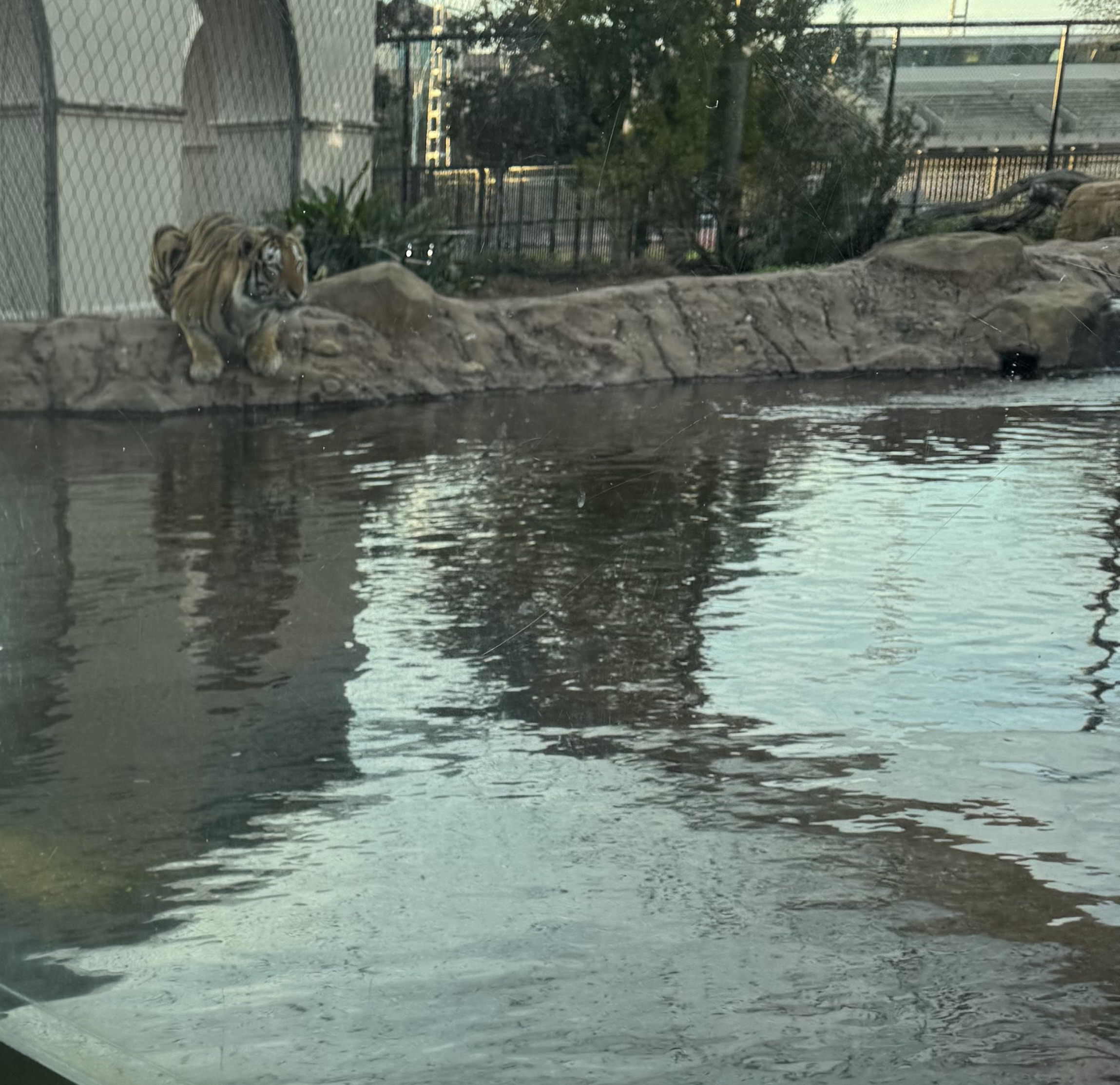 IMG_8211.jpeg