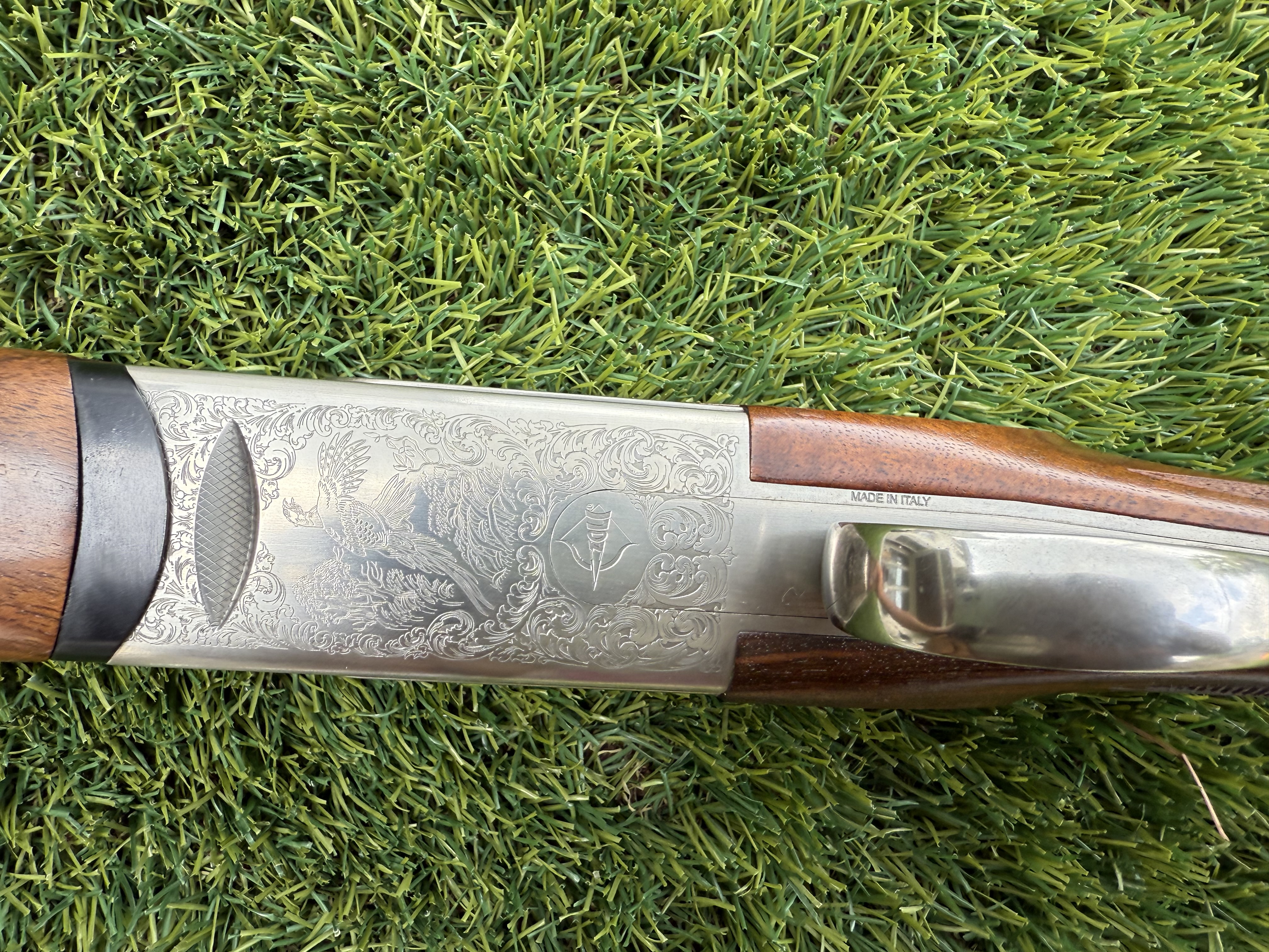 IMG_8247.jpeg IMG_8247.jpeg