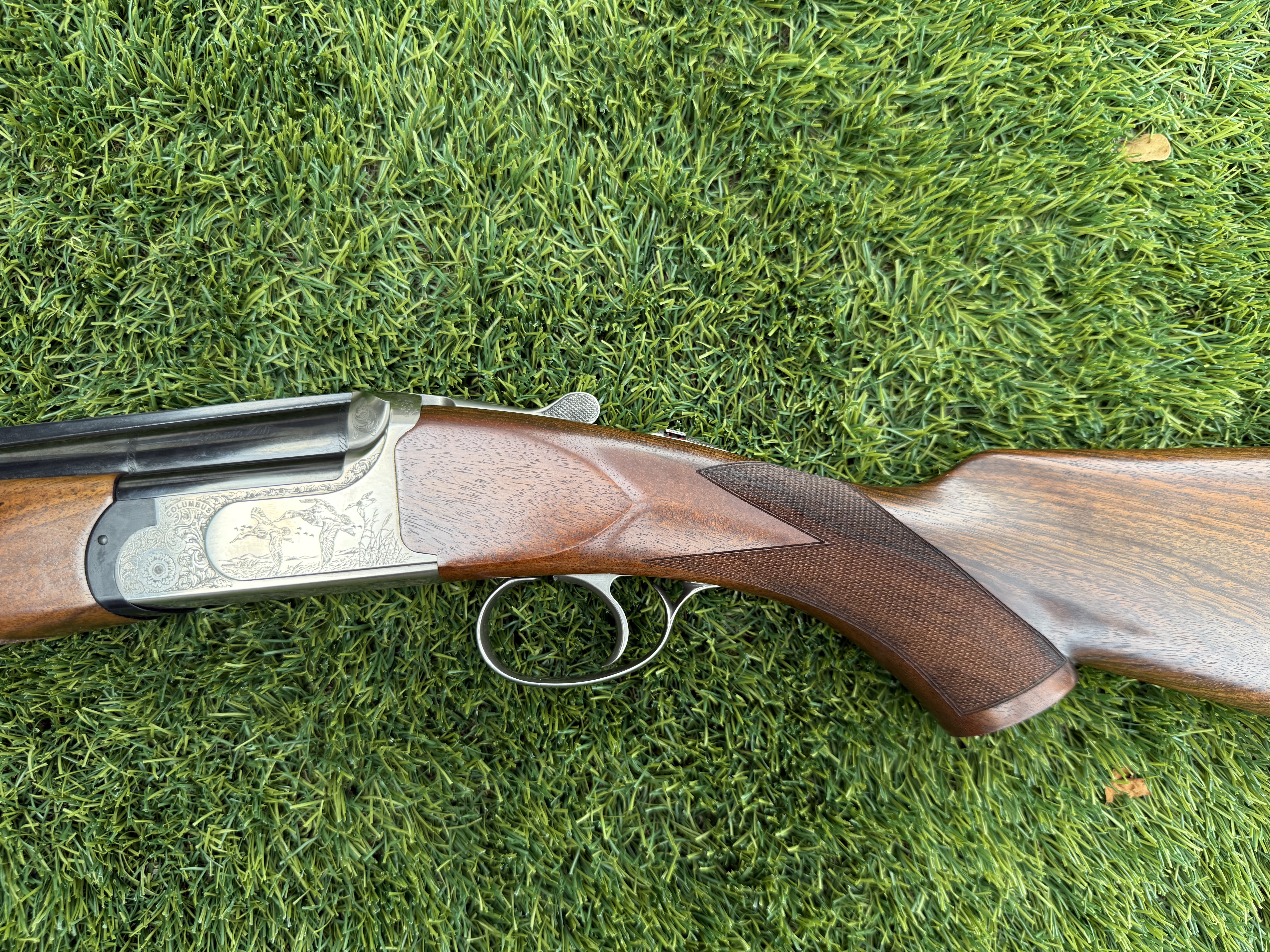 IMG_8252.jpeg IMG_8252.jpeg