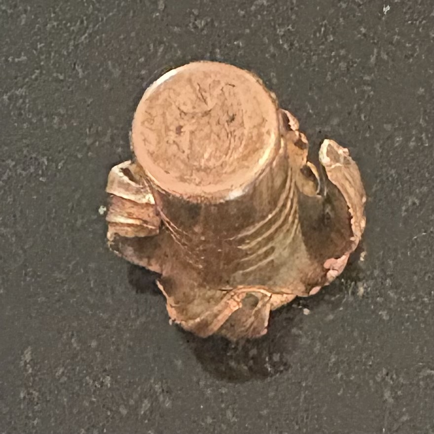 IMG_8301.jpeg