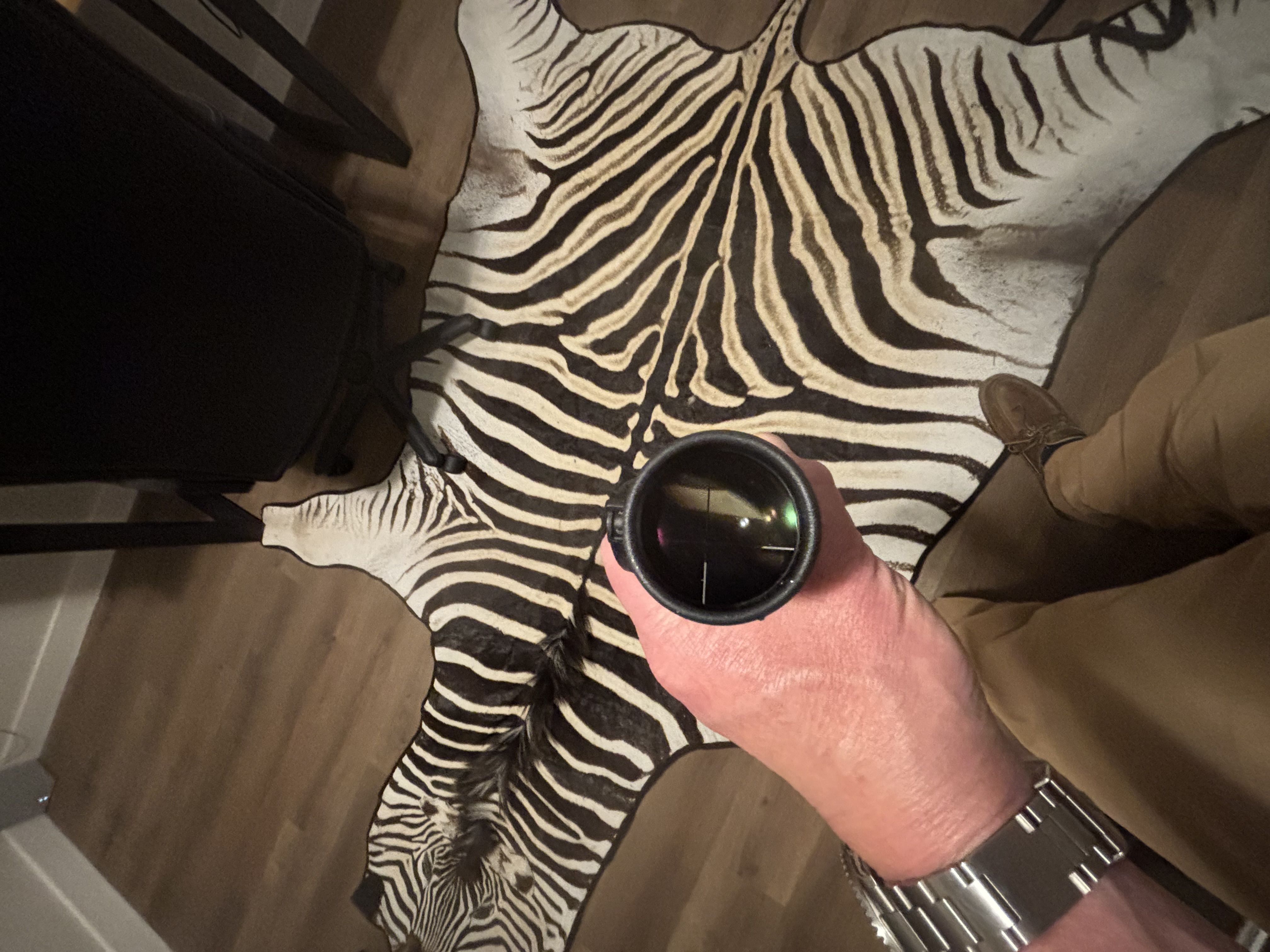 IMG_8415.jpeg IMG_8415.jpeg