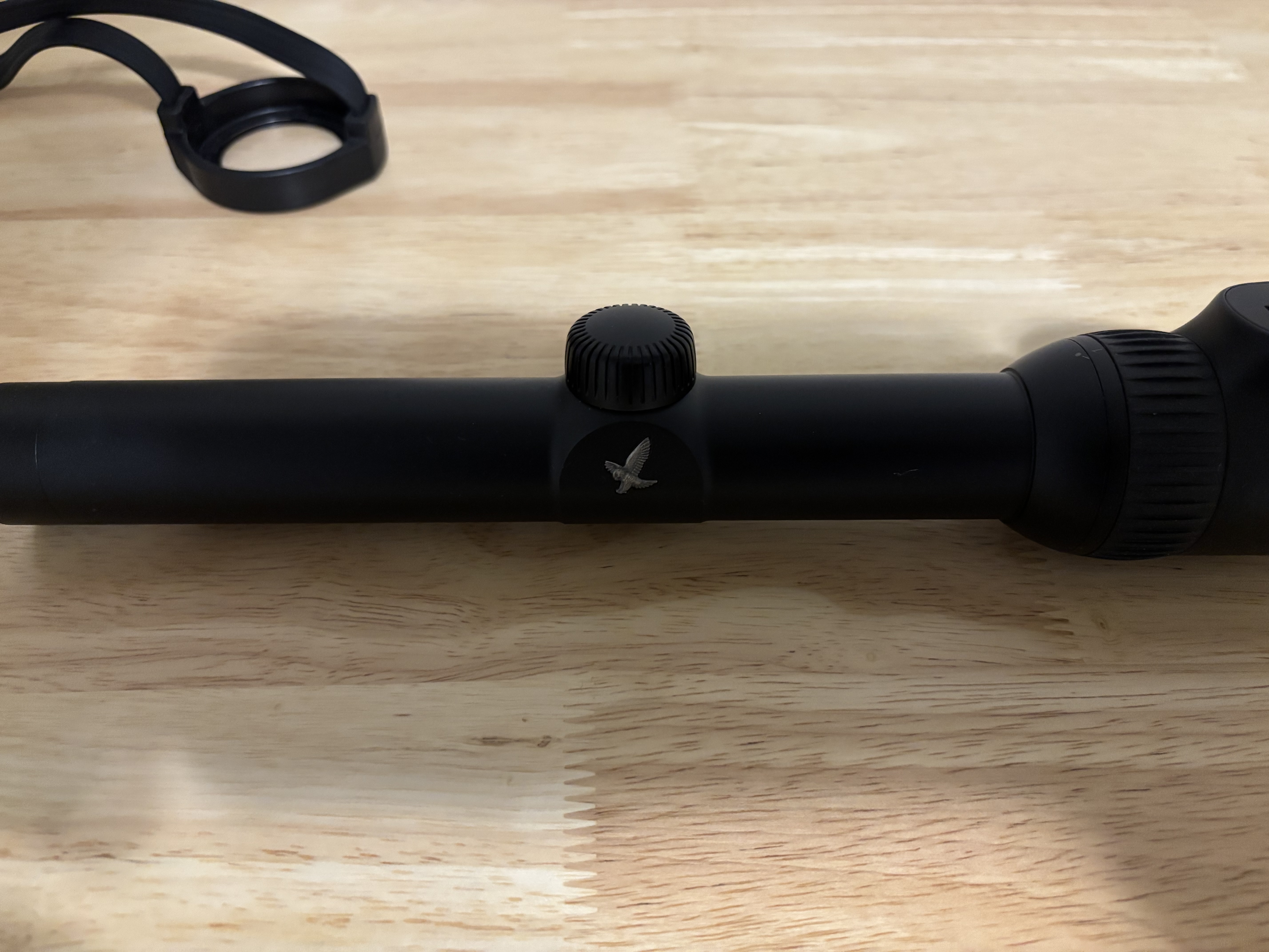 IMG_8418.jpeg IMG_8418.jpeg