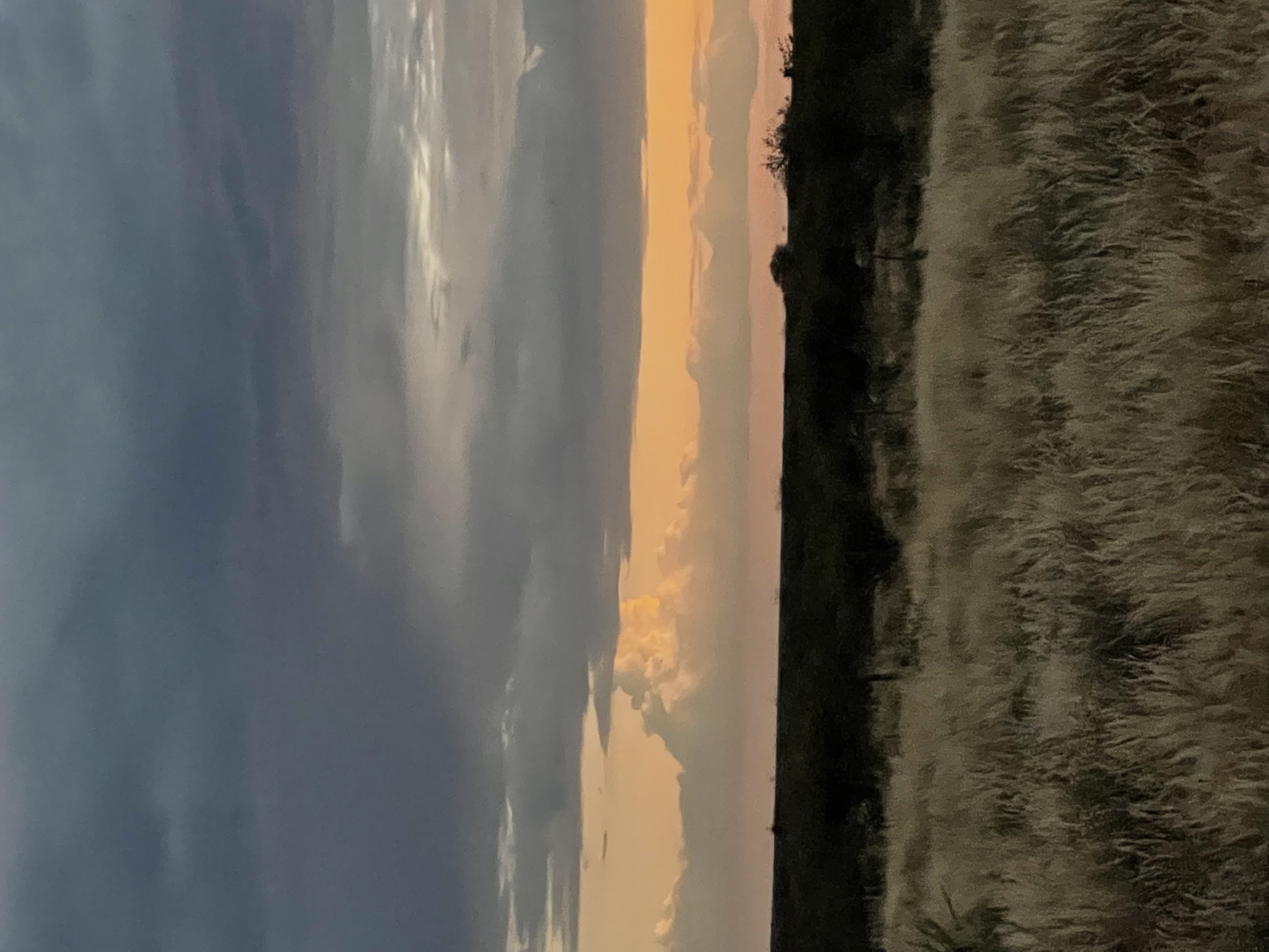 IMG_8489.jpeg