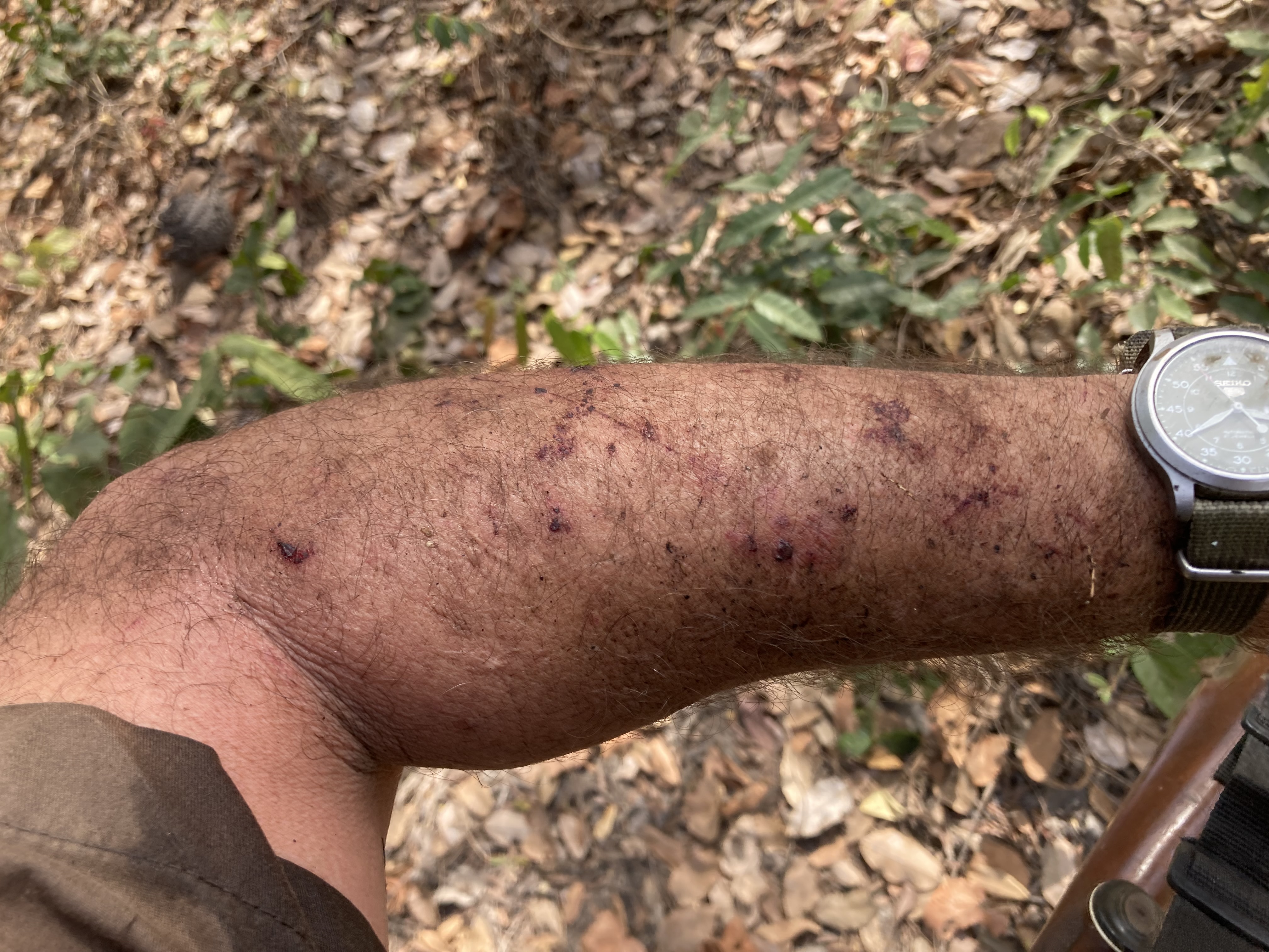 IMG_9006.jpeg