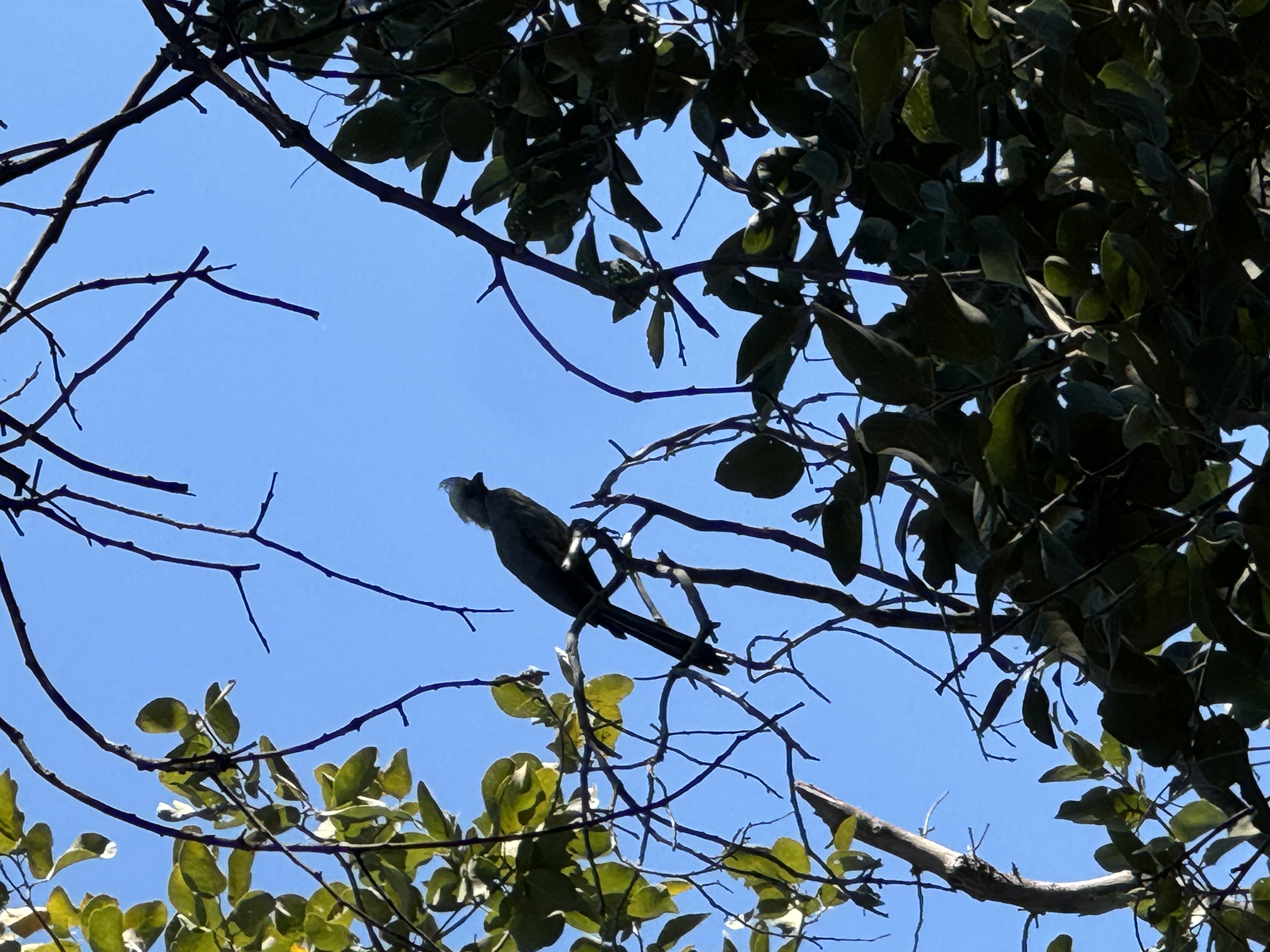 IMG_9124.jpeg