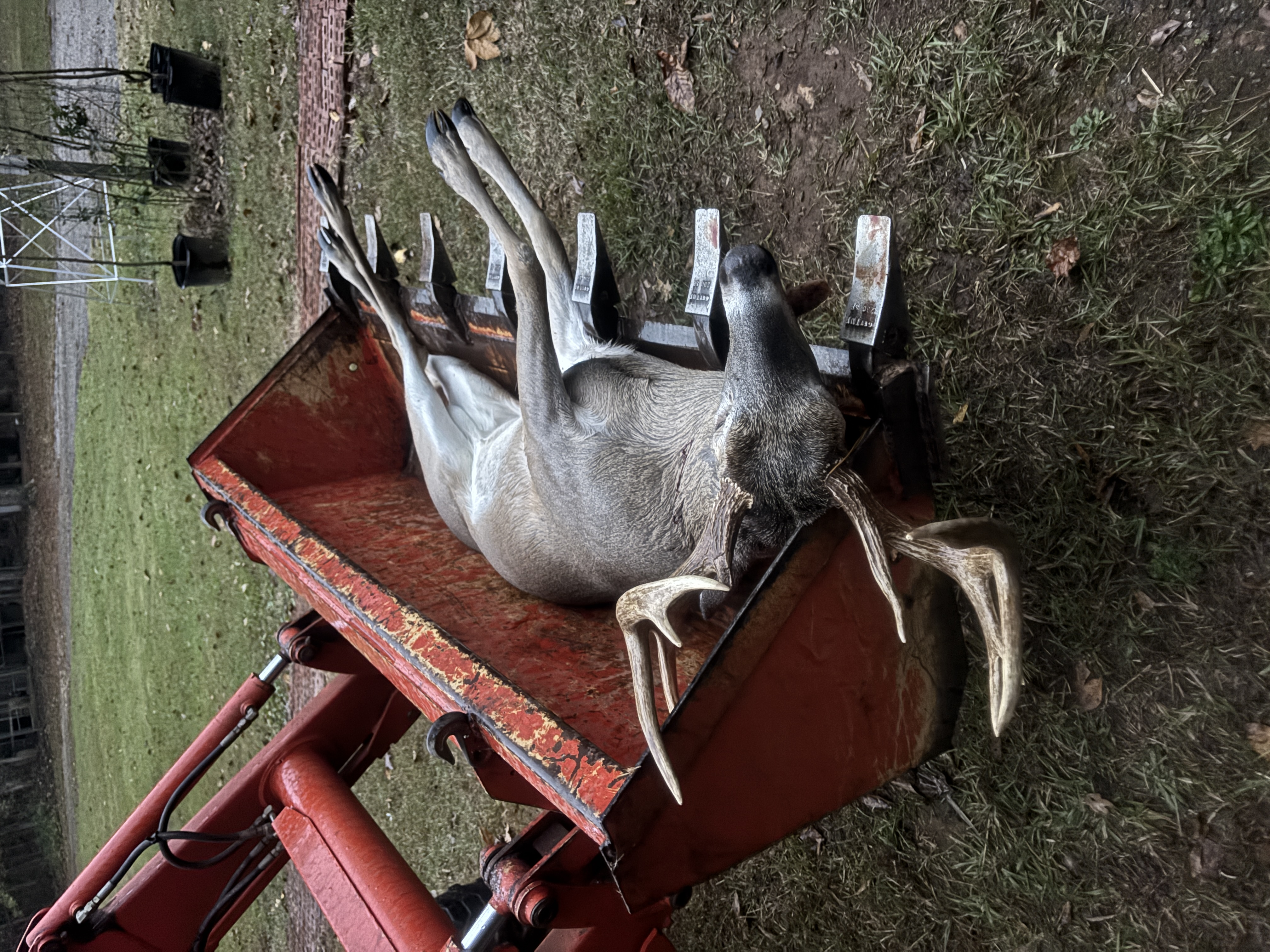 IMG_9655.jpeg IMG_9655.jpeg