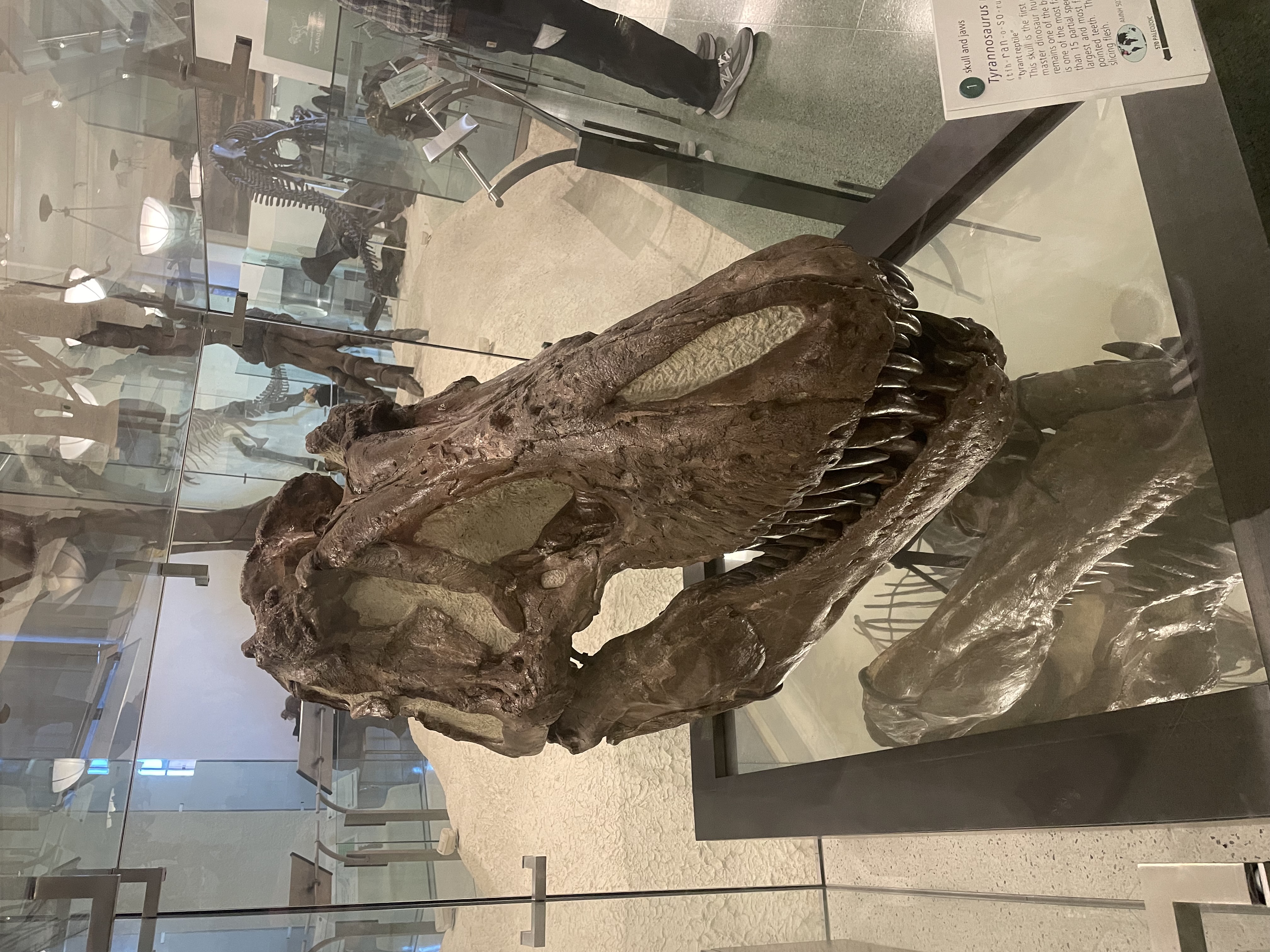 IMG_9658.jpeg
