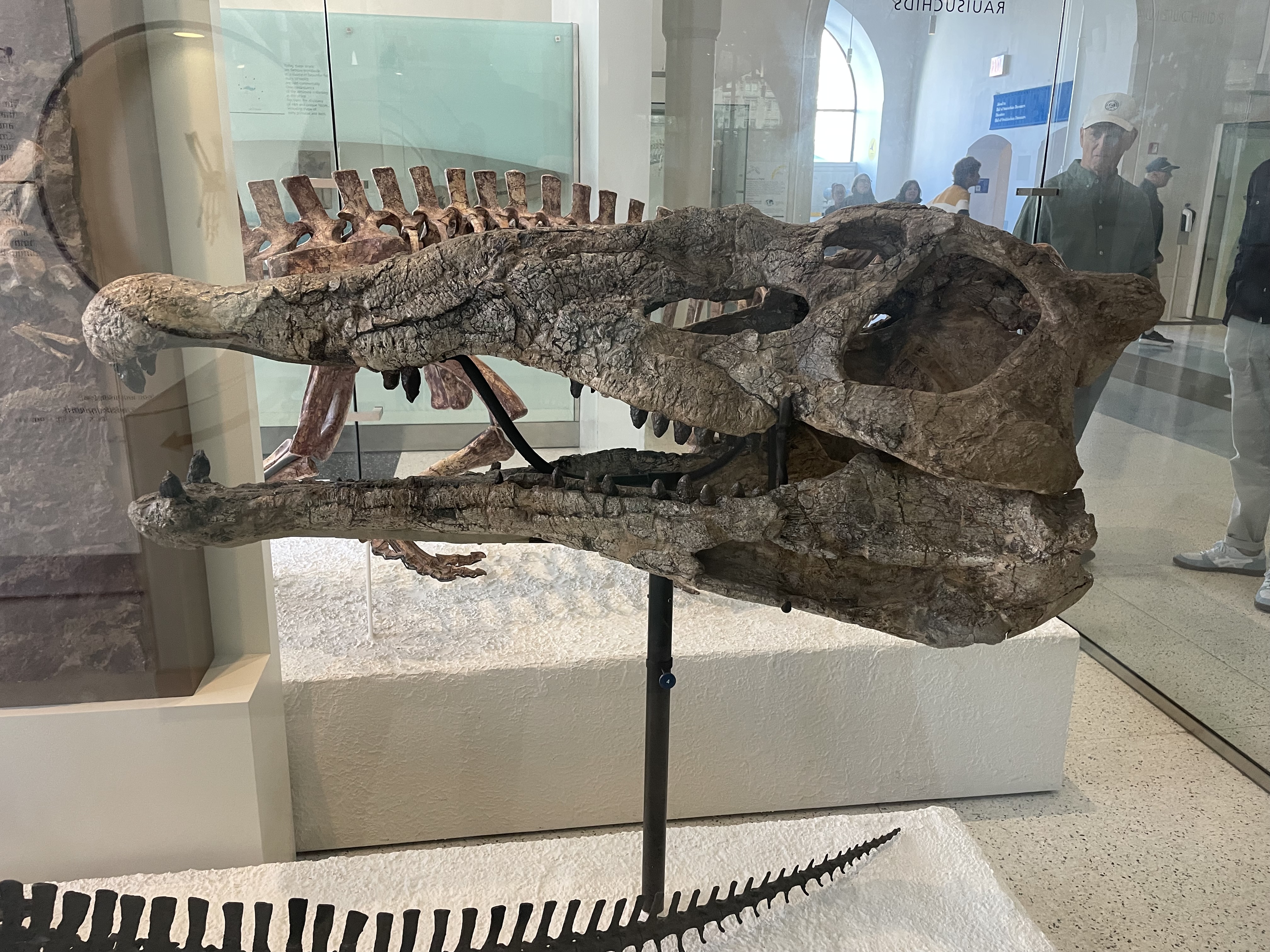 IMG_9664.jpeg