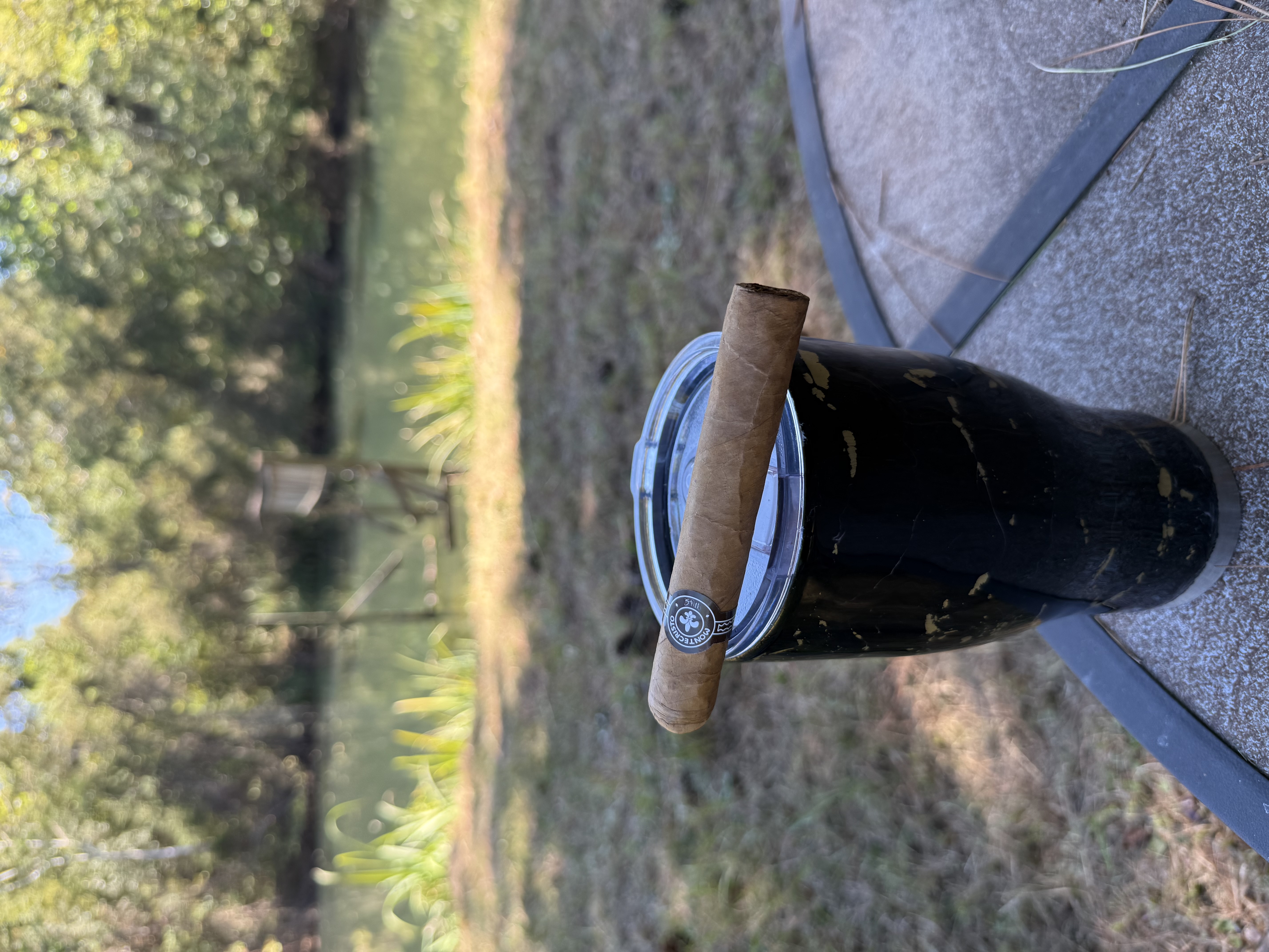IMG_9785.jpeg