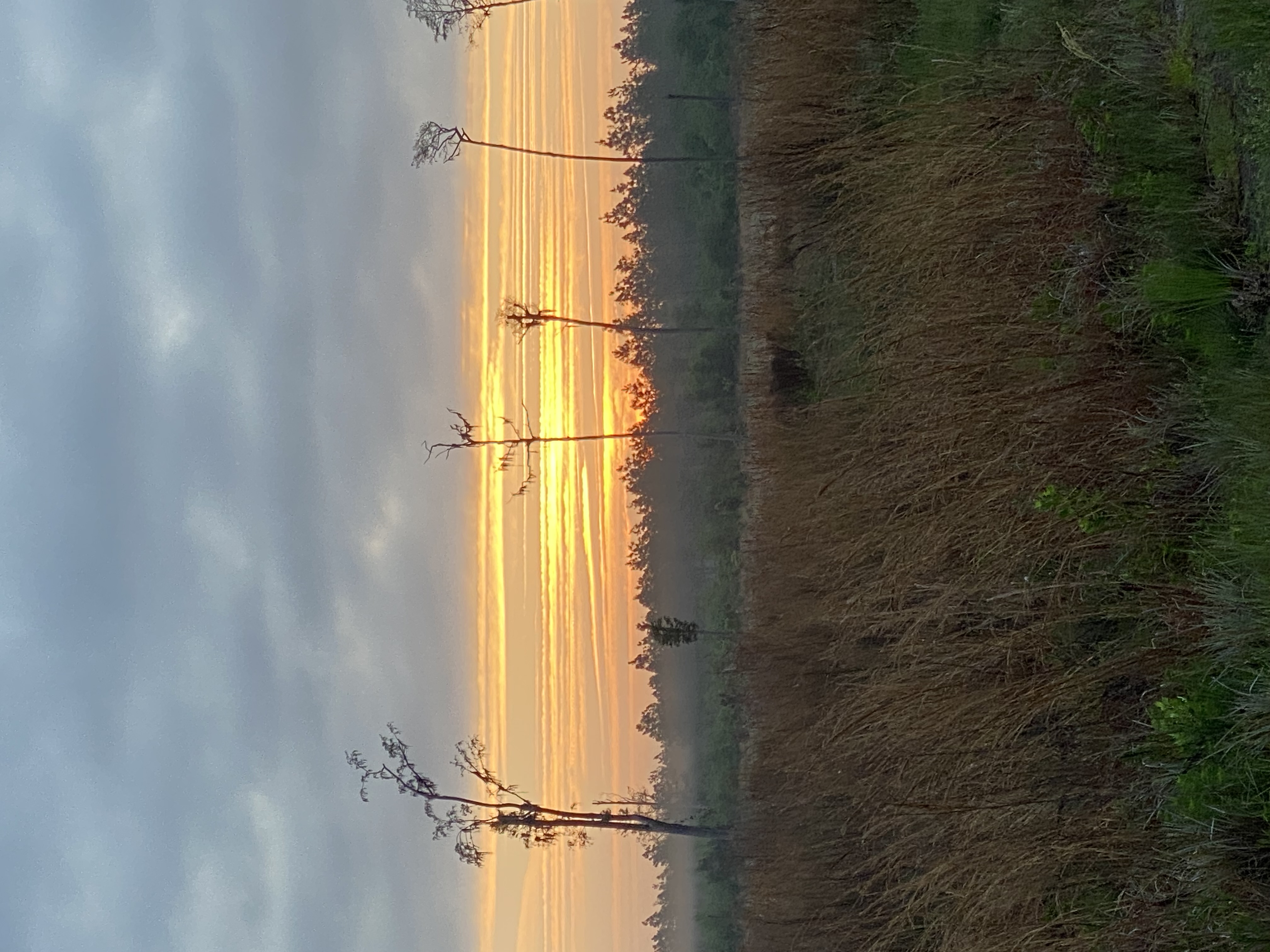 IMG_9855.jpeg